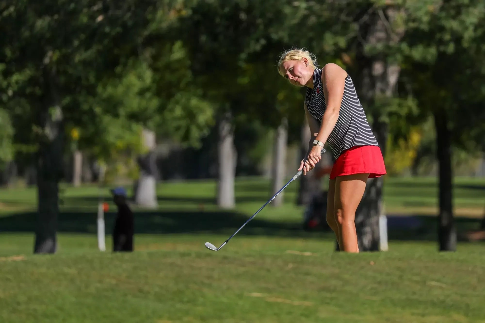 Cerenzia chip shot at Sun Mountain Intercollegiate '26