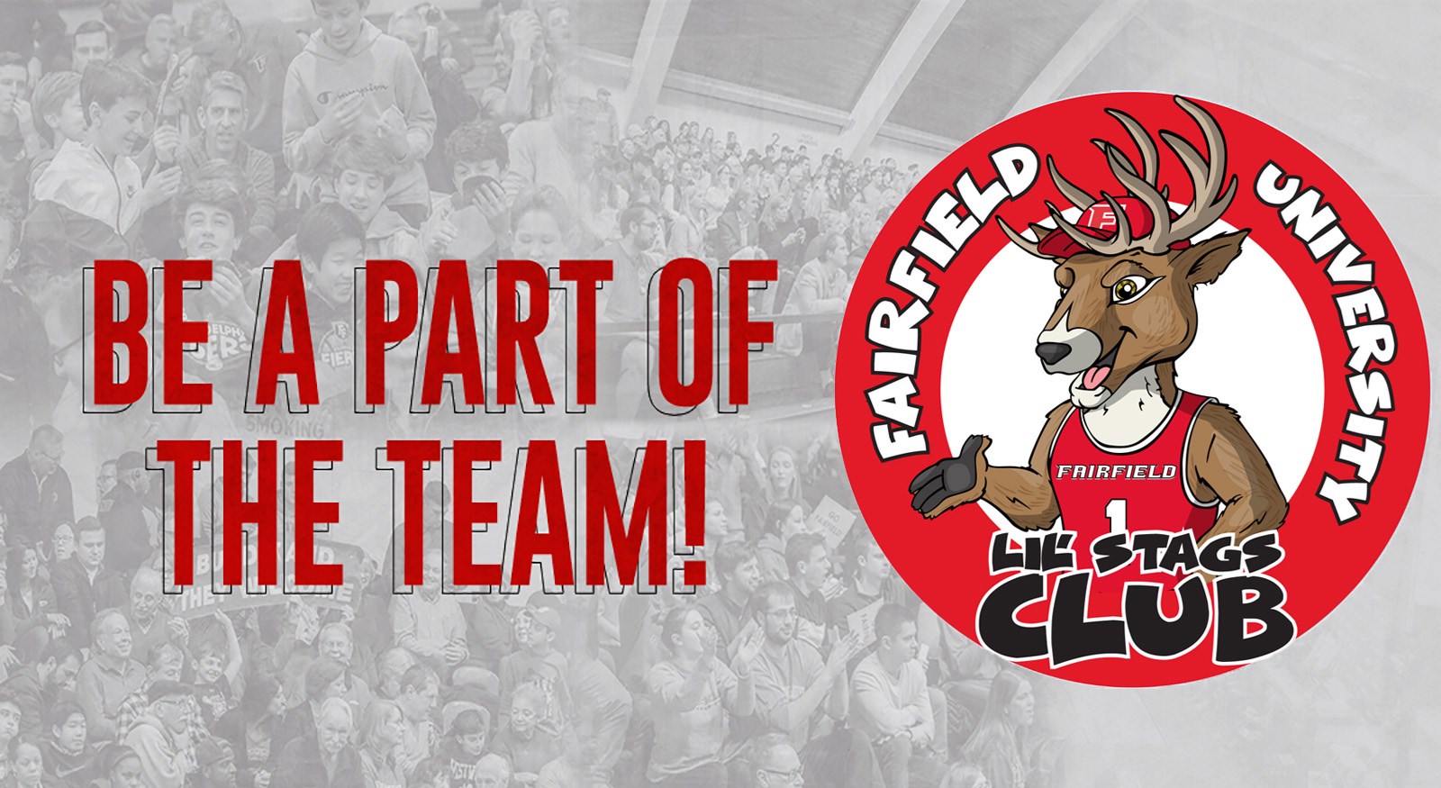 Lil Stags 20-21 text