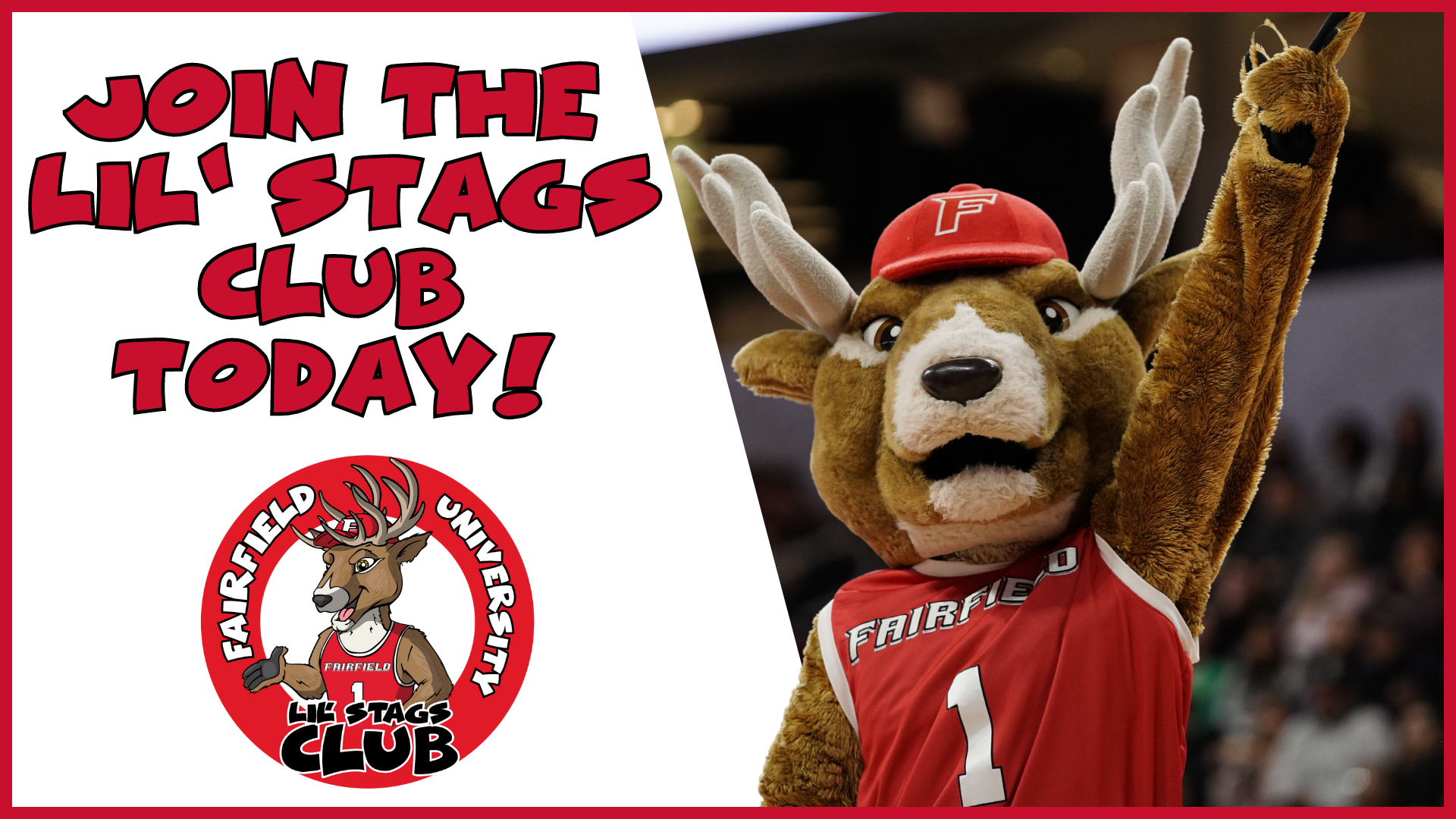 Lil Stags Club 23-24 registration