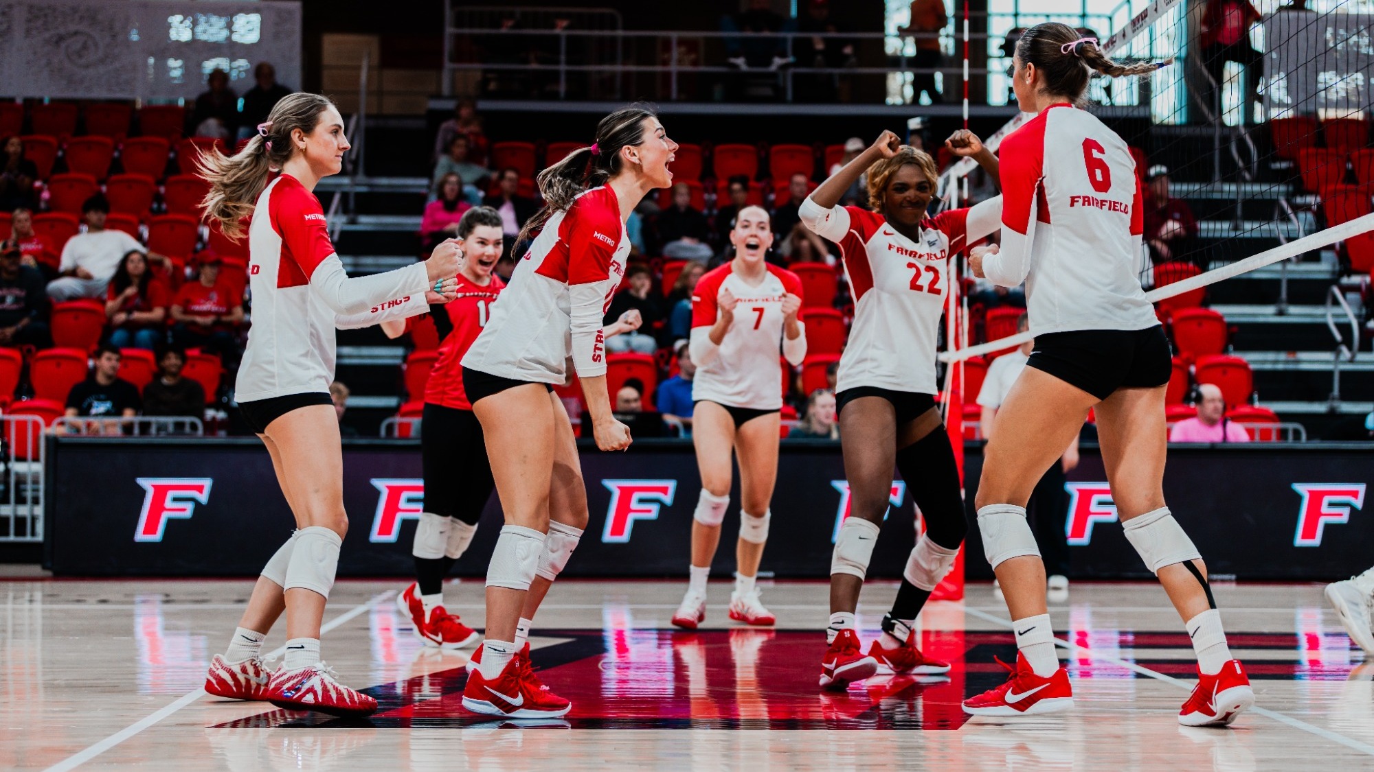 Team celebration vs Rider