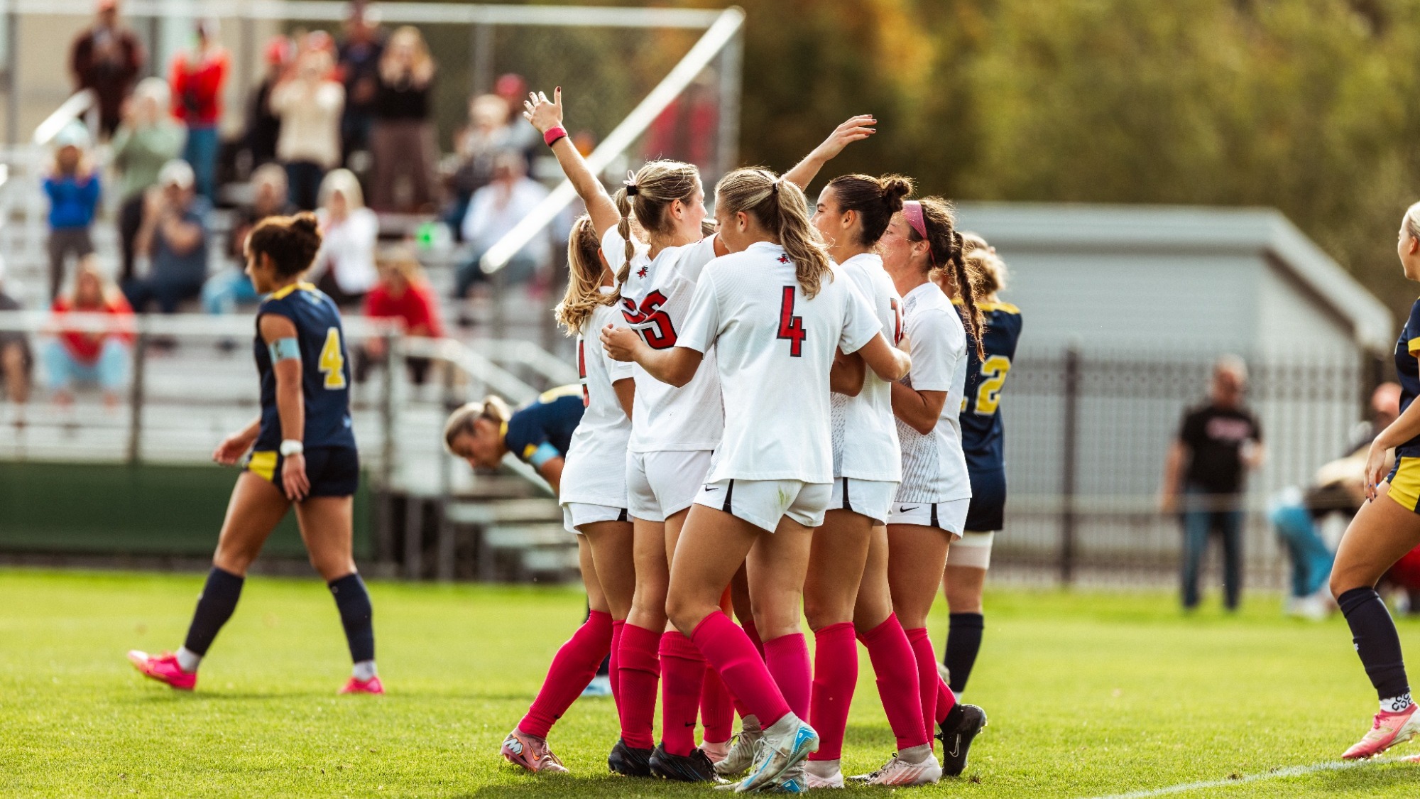 Team celebrates a goal