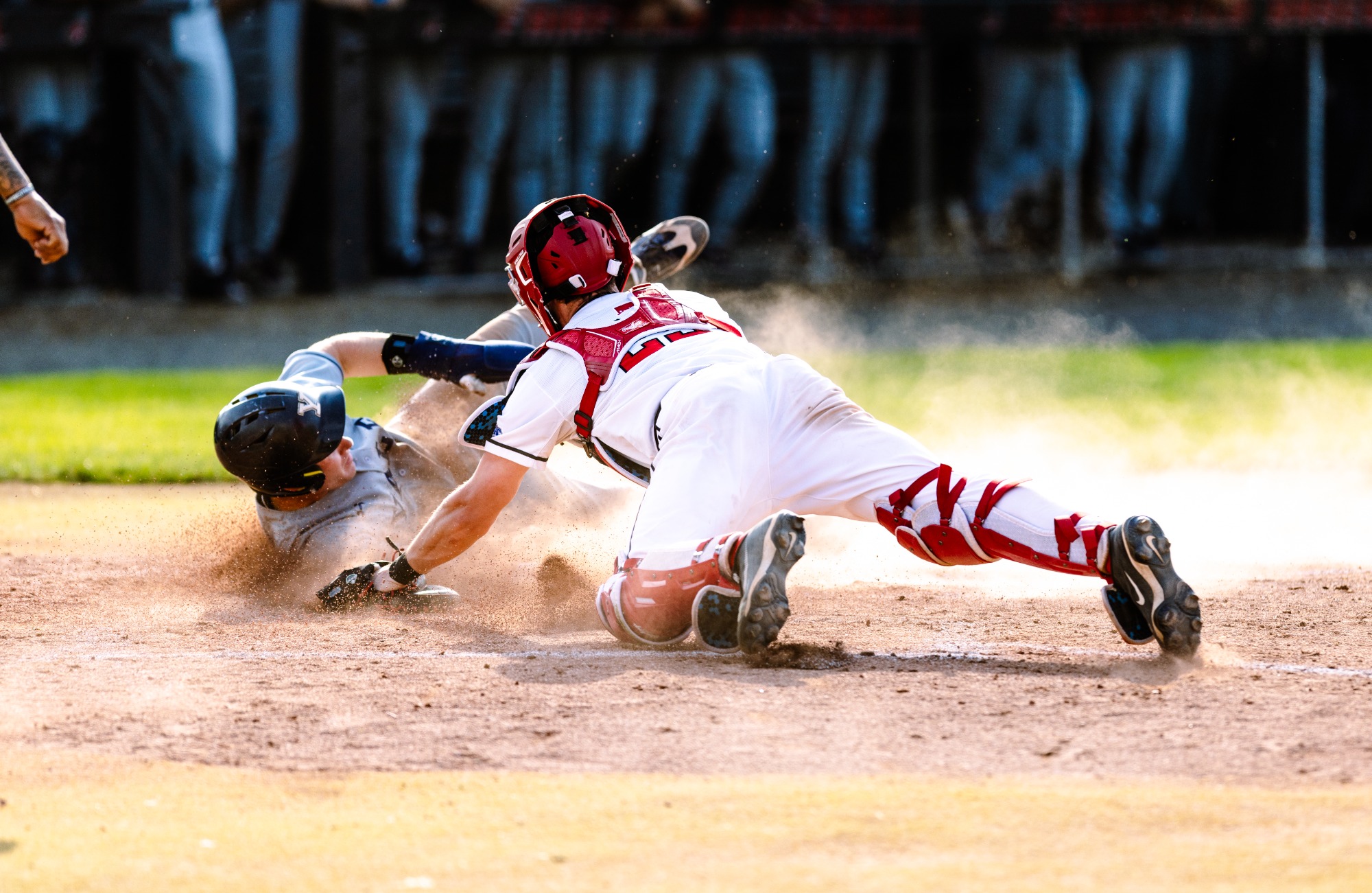 Baseball vs Yale (March 31, 2026)