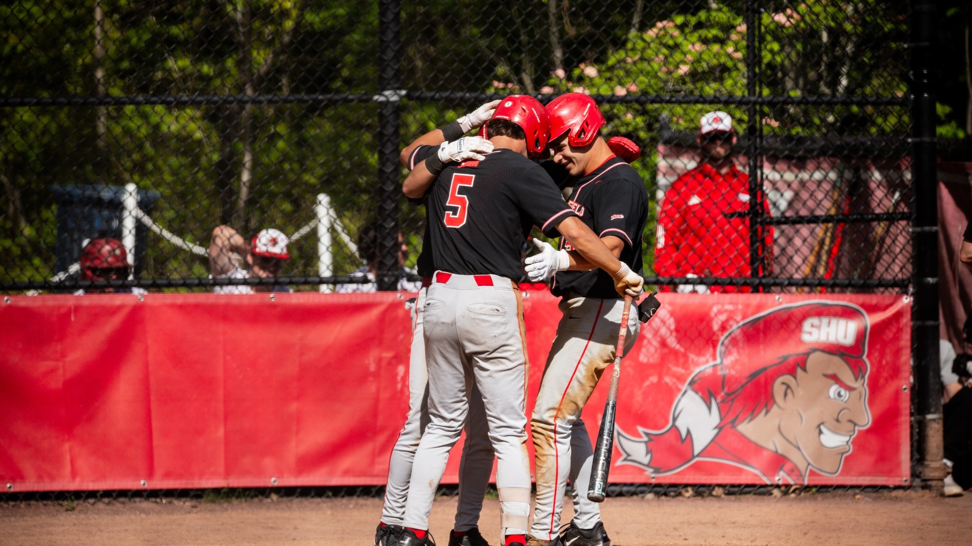Team celebrates after a home run