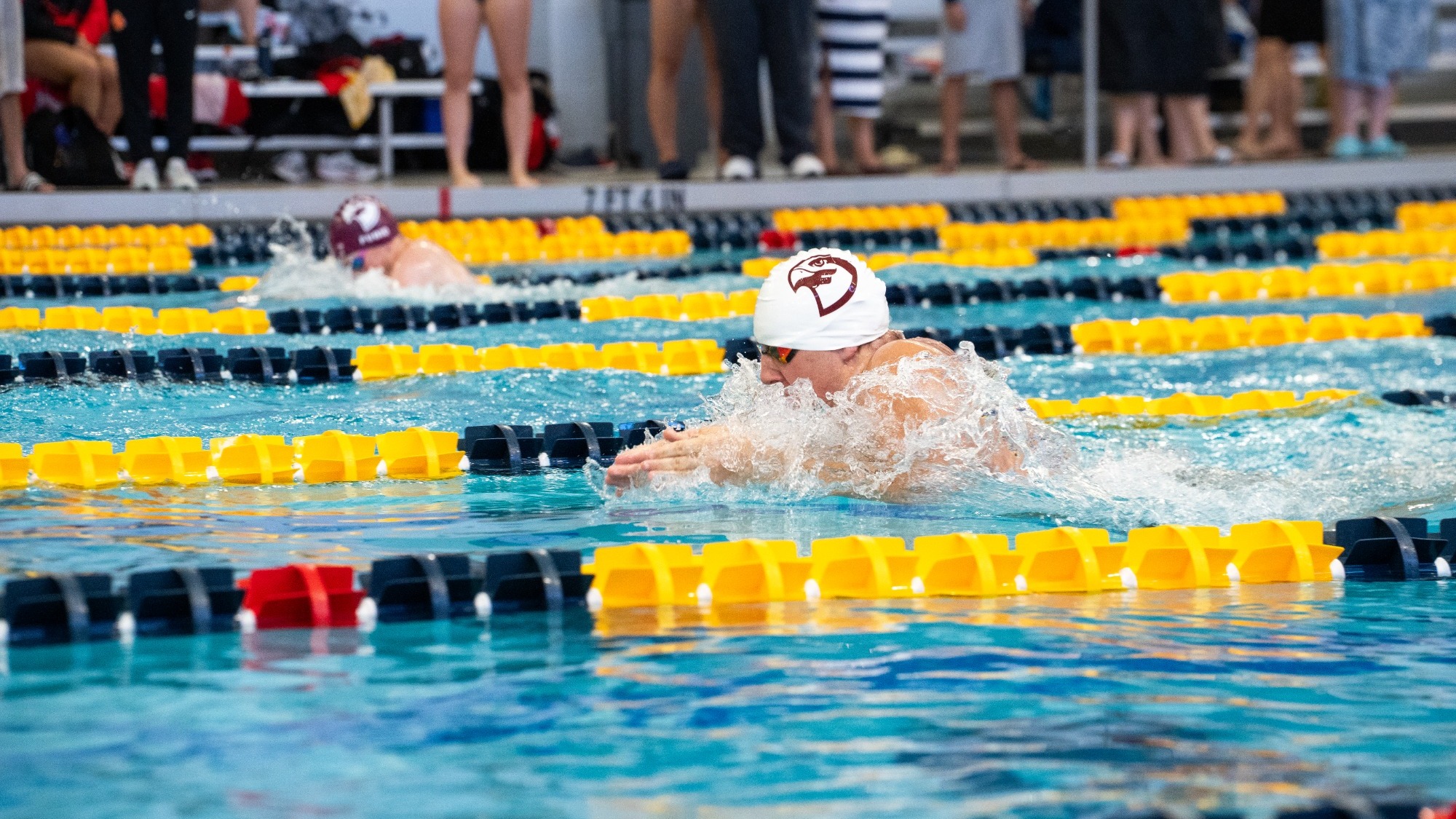 Men's Swim at WVU State Games 2025