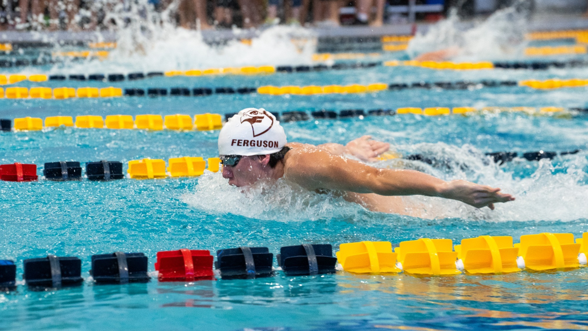 Men's Swimming at WVU Games 2025