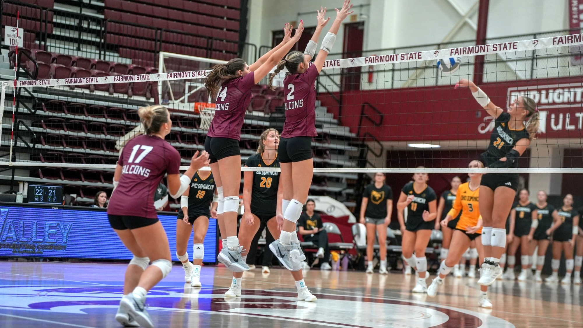 WVB vs Ohio Dominican 2026