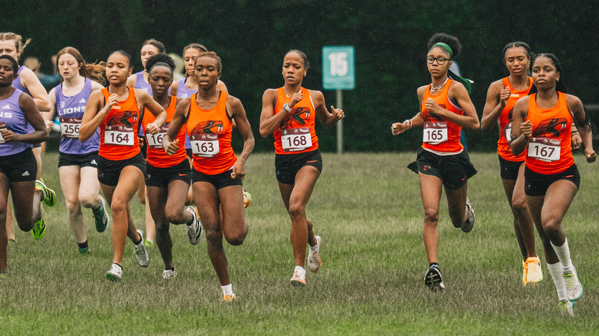 XC