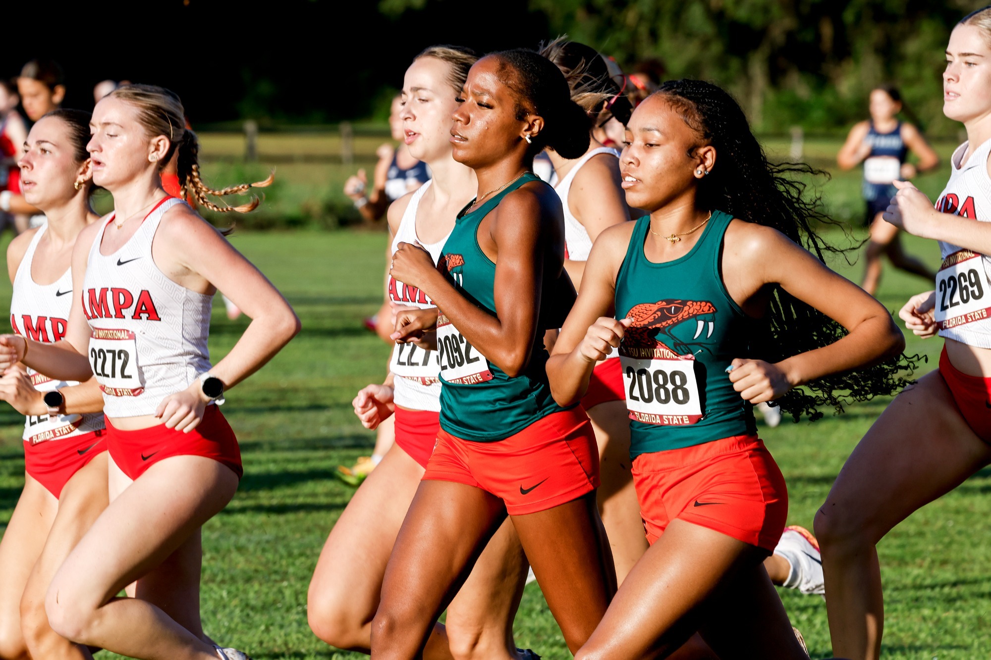 Cross Country at Home Apalachee Regional 2026 [2]
