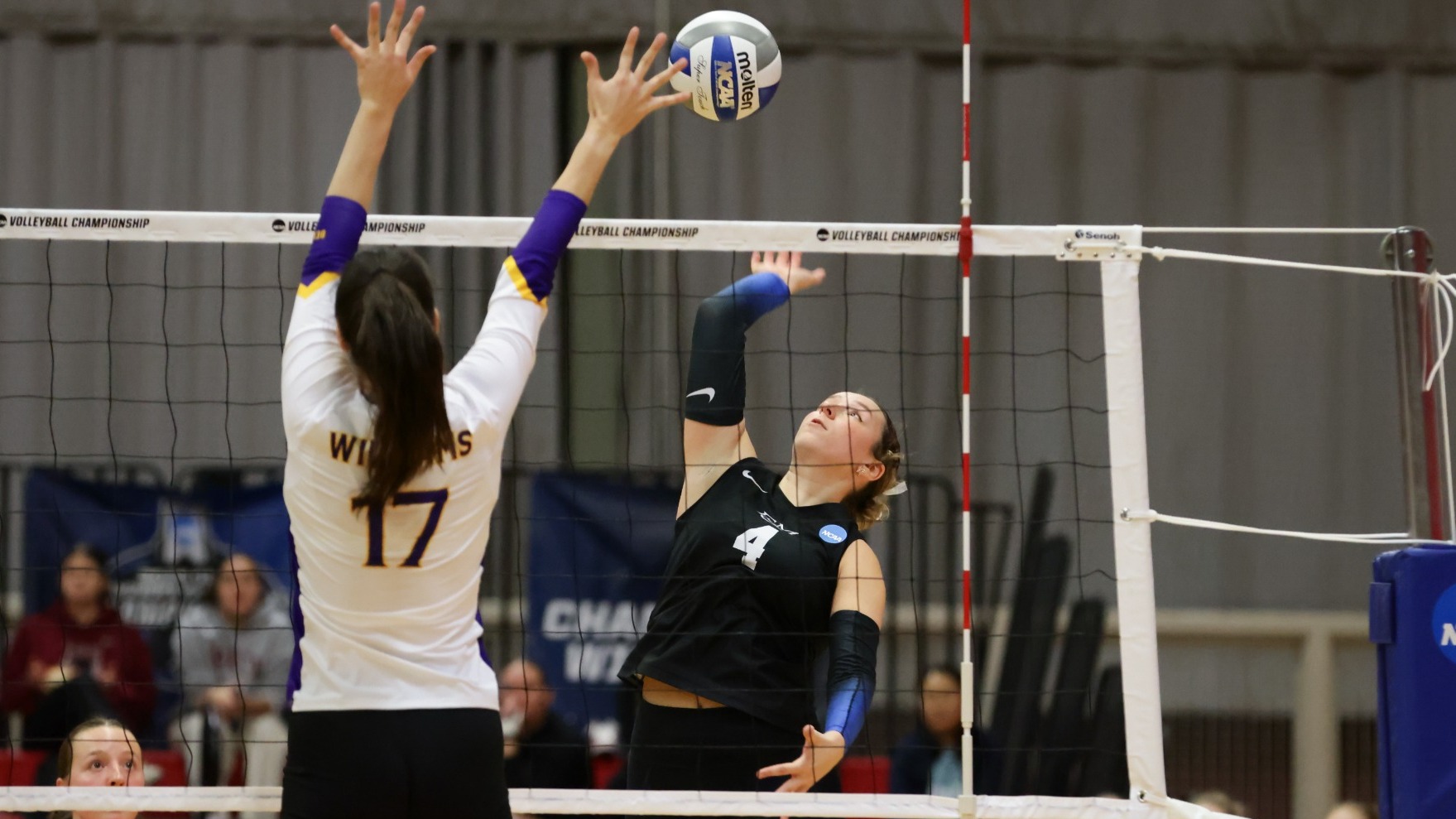 Shultz_Coco_11_21_2025