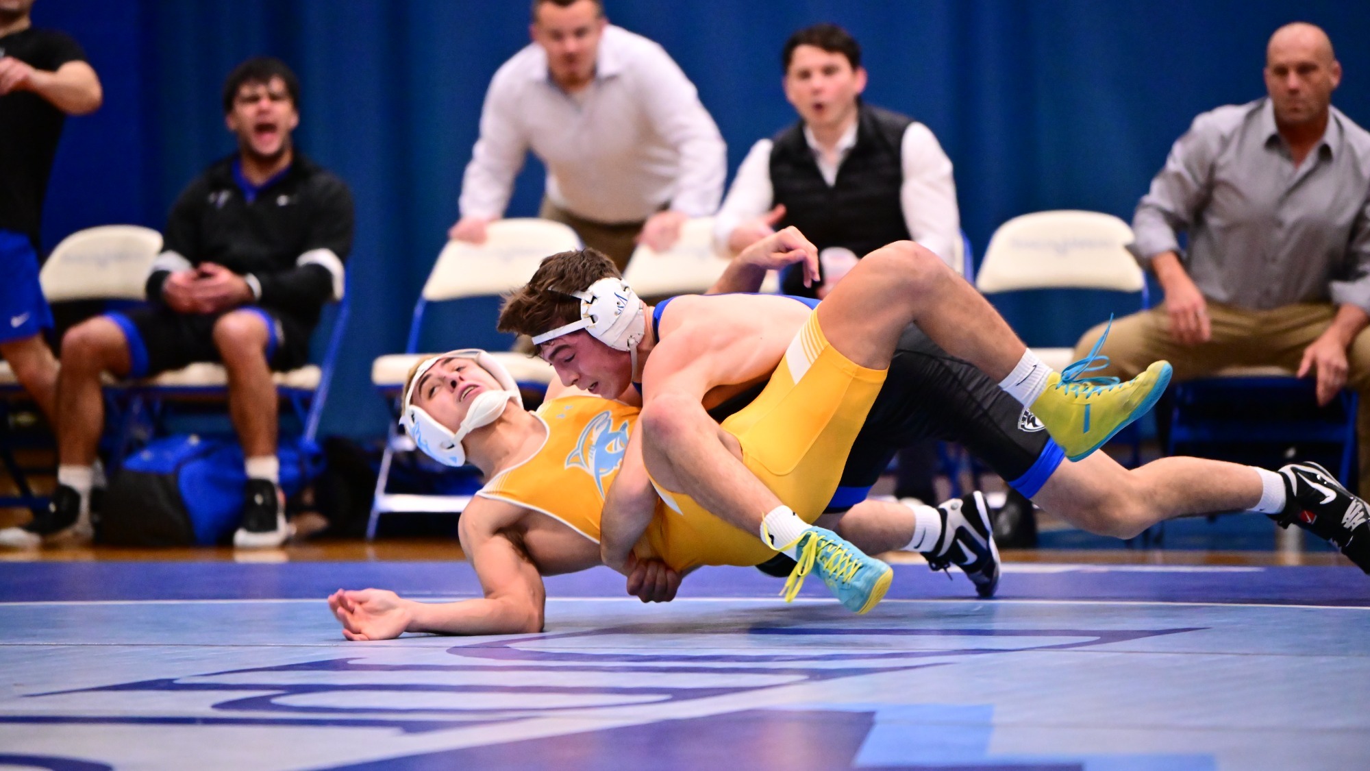 Josh Palmucci Presbyterian Quad