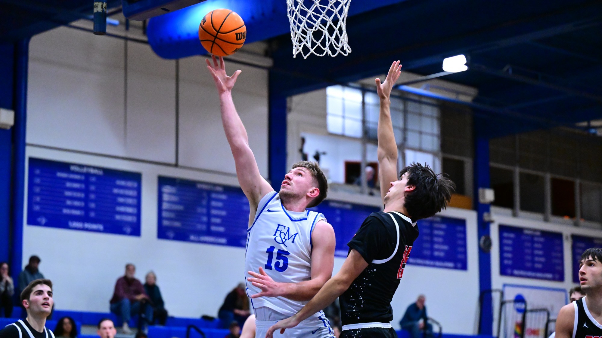 Nowoswiat_Kevin_1_31_2026