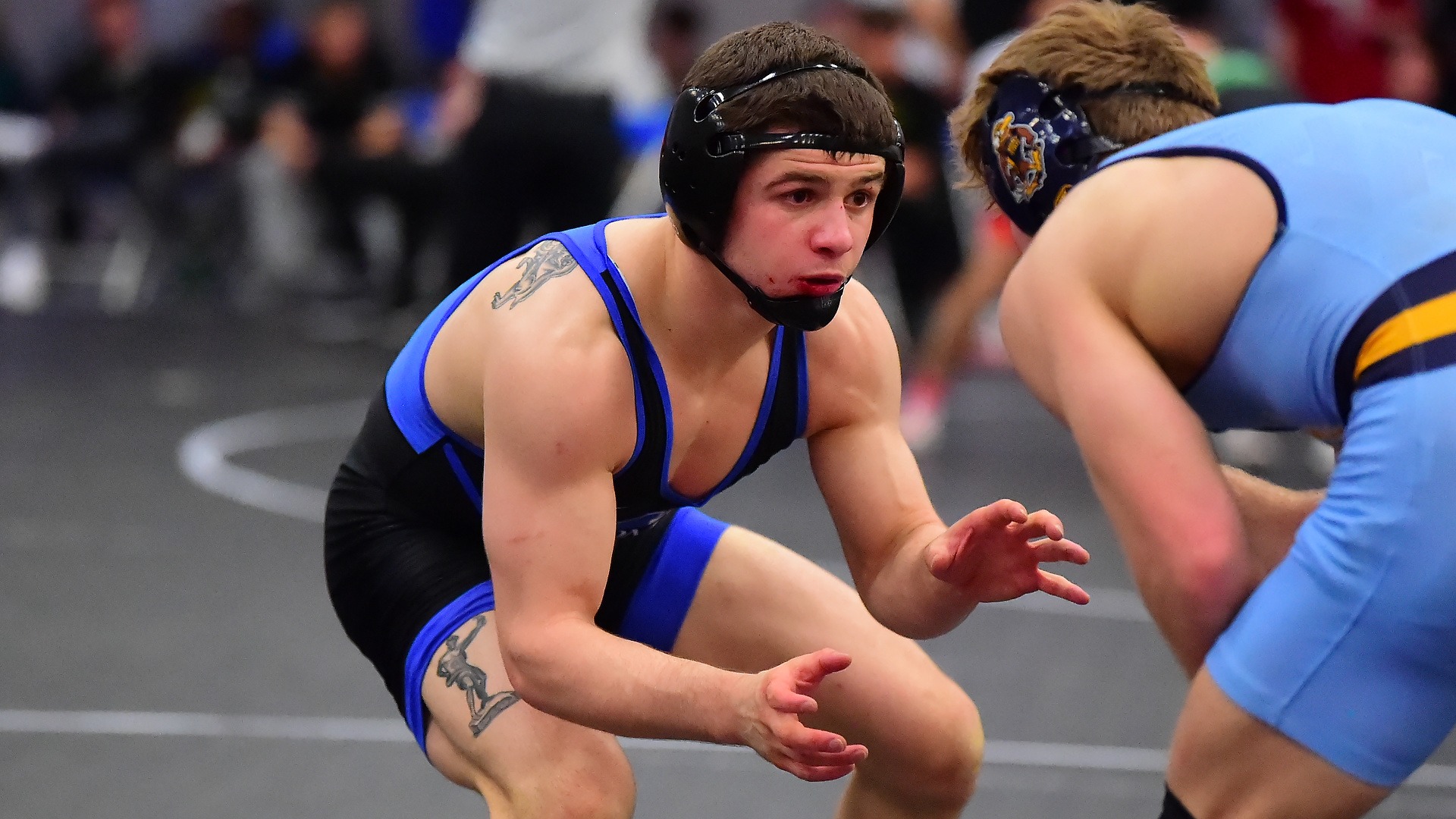 Bryce Kresho Hofstra