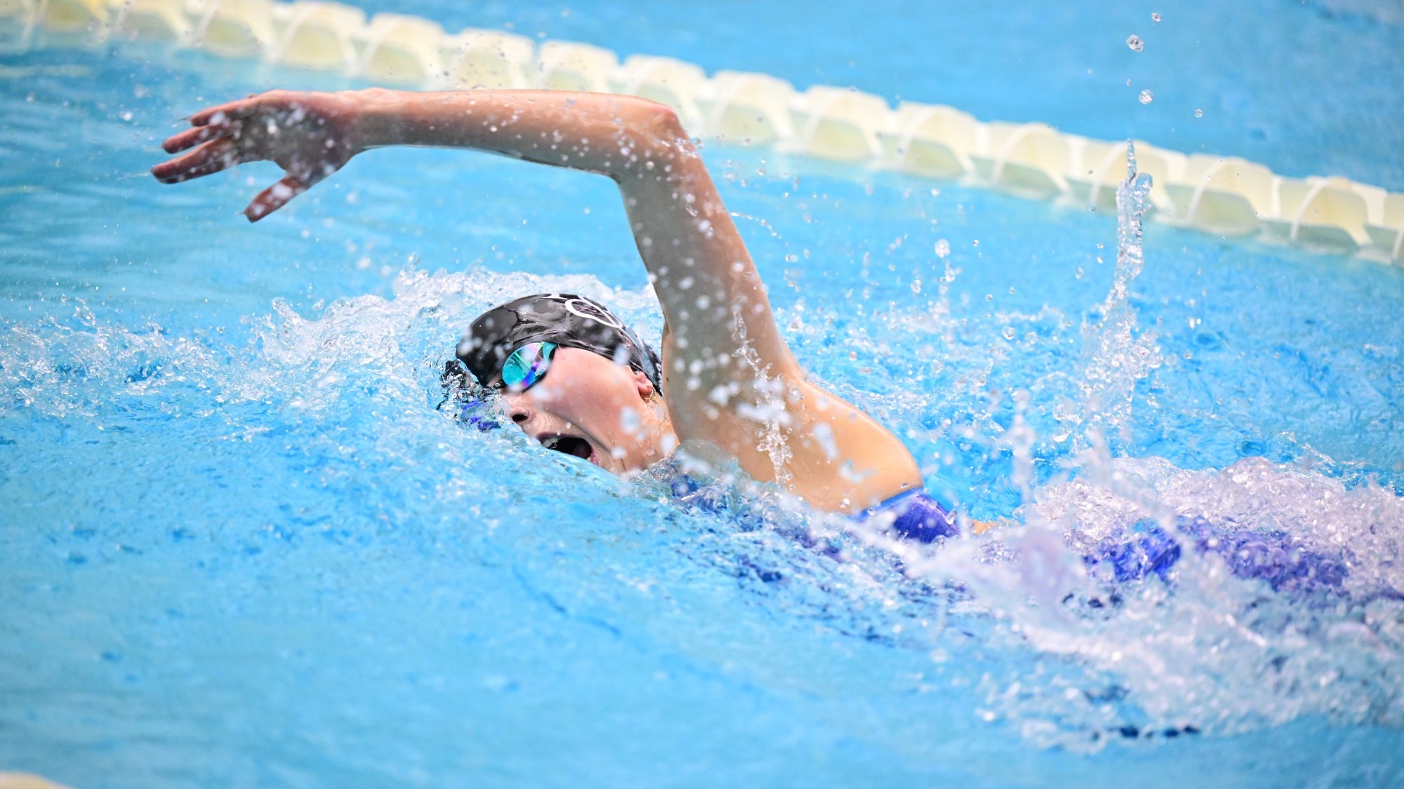 Brown_Delphine_2_20_2026