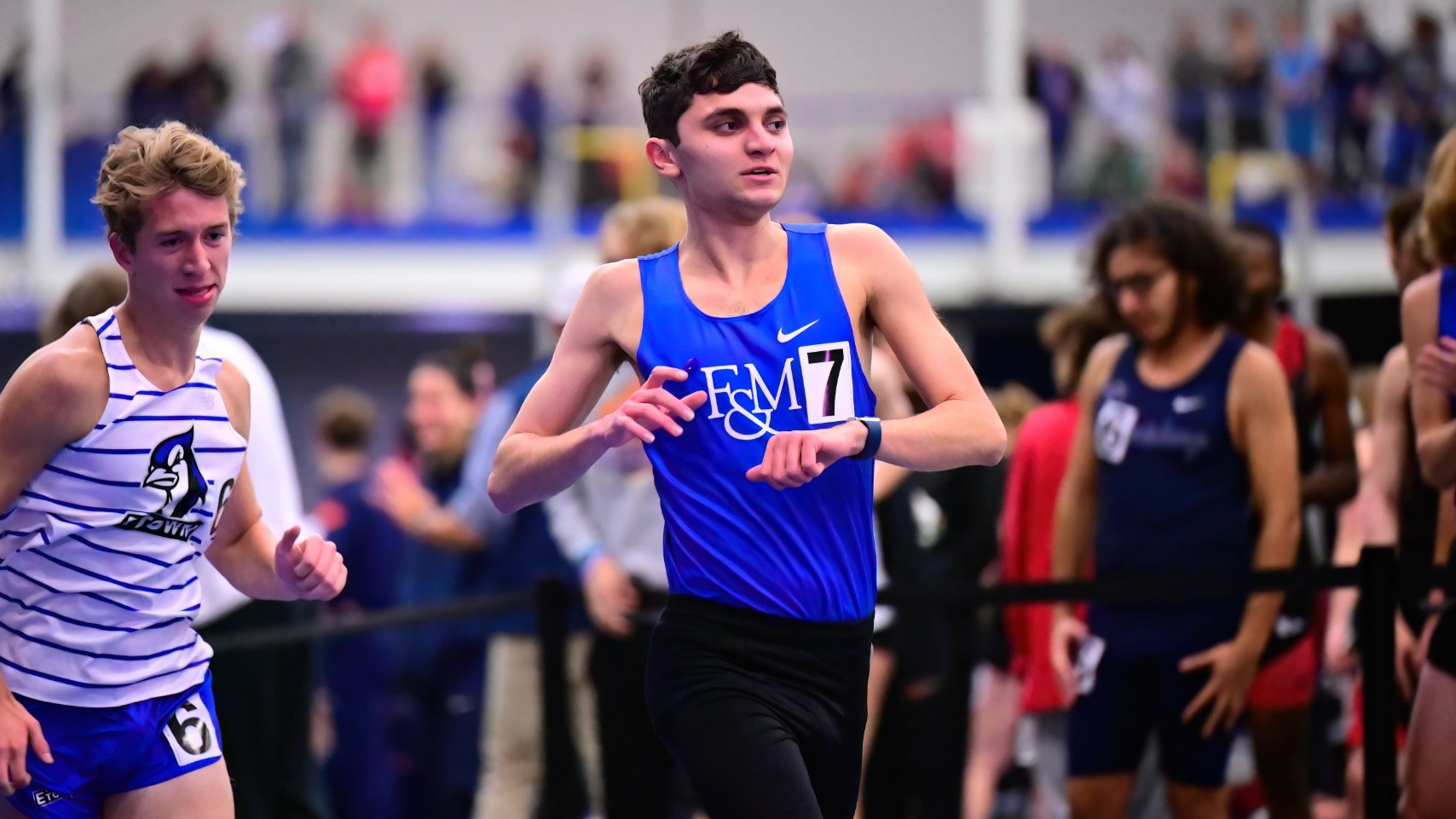 Tommy Tapino Mini Dip