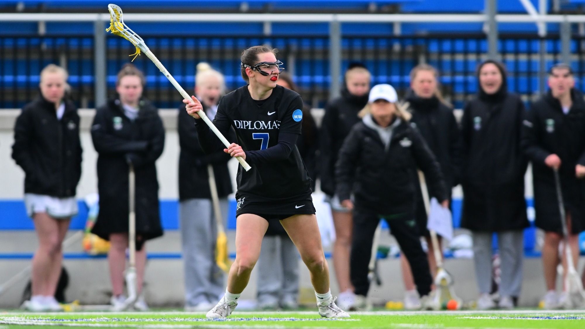 Belle Dintino Salisbury Recap