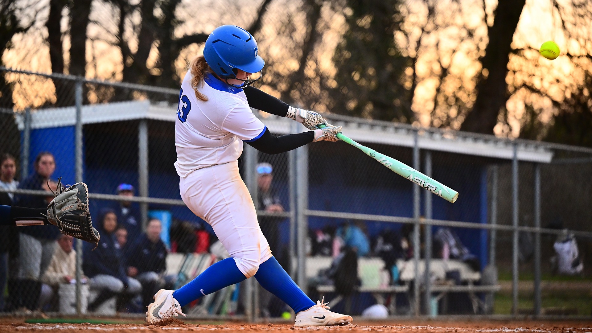 Steiner_Lauren_3_24_2026