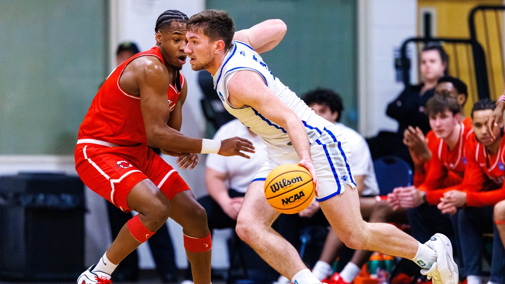 Nowoswiat_Kevin_3_26_2026