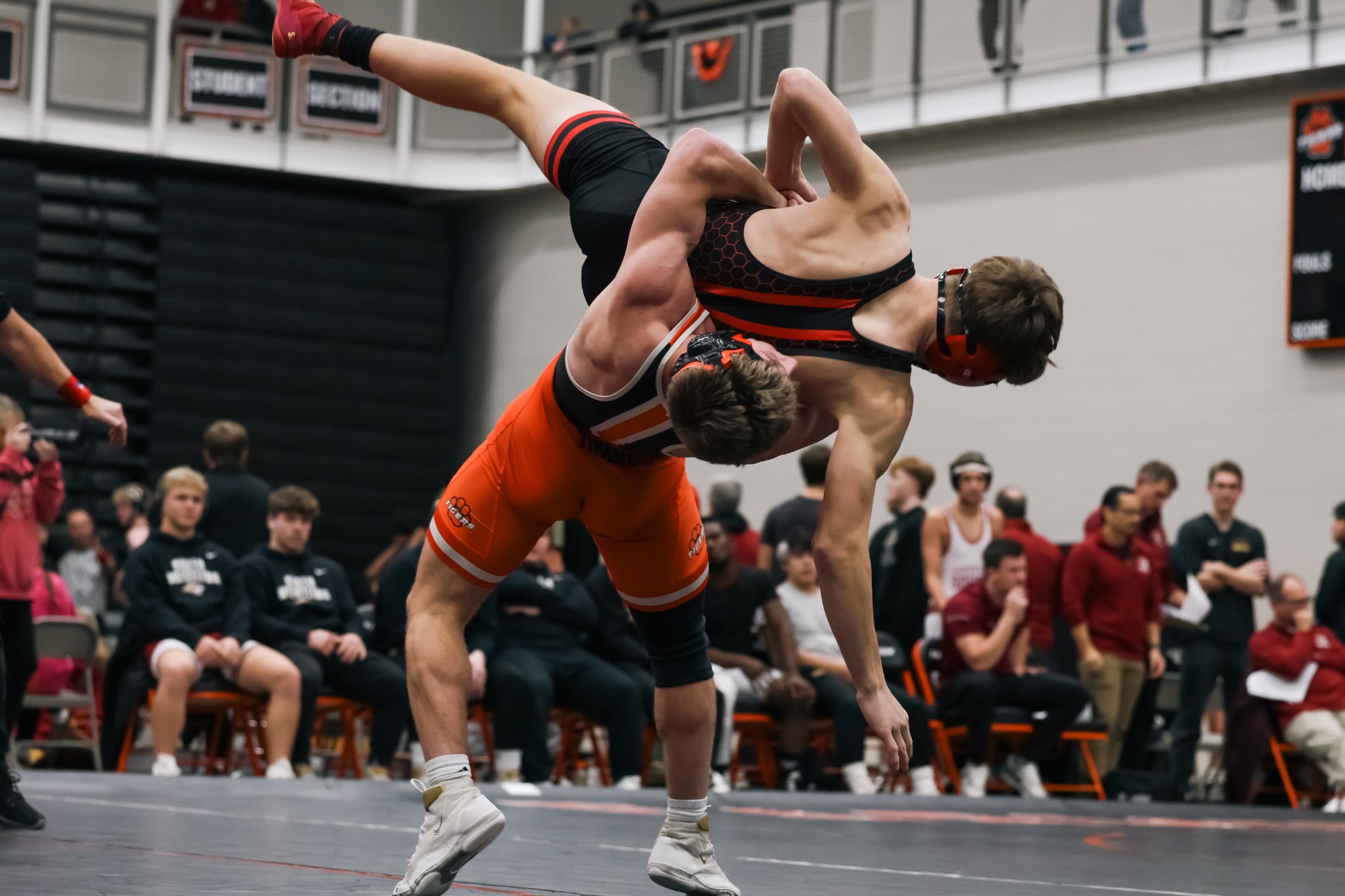 Wrestling vs. Shakopee, Lakeville South (December 4, 2024)