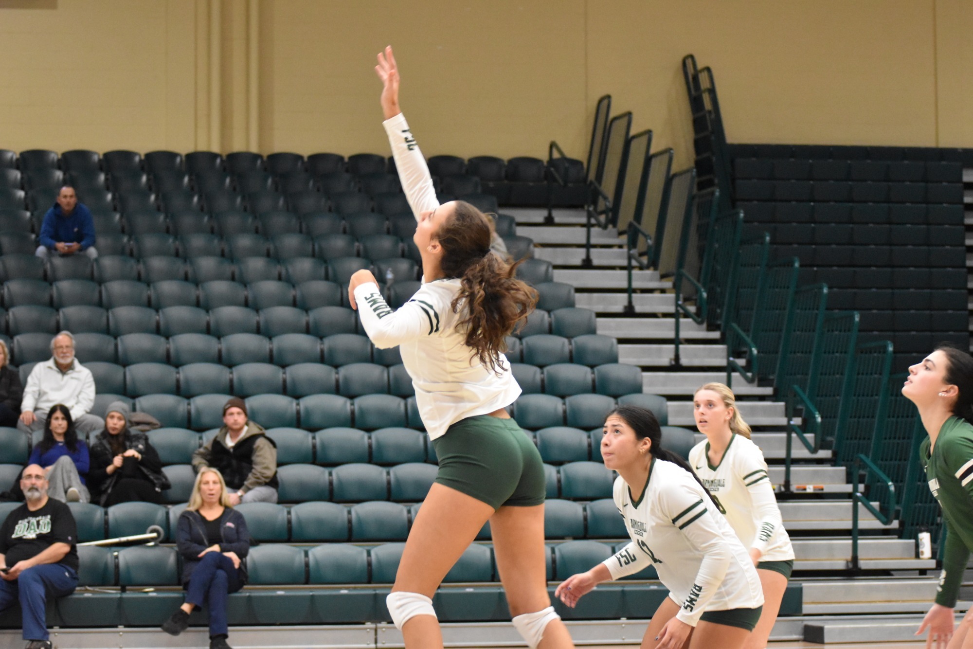 Allison Marino hitting the ball