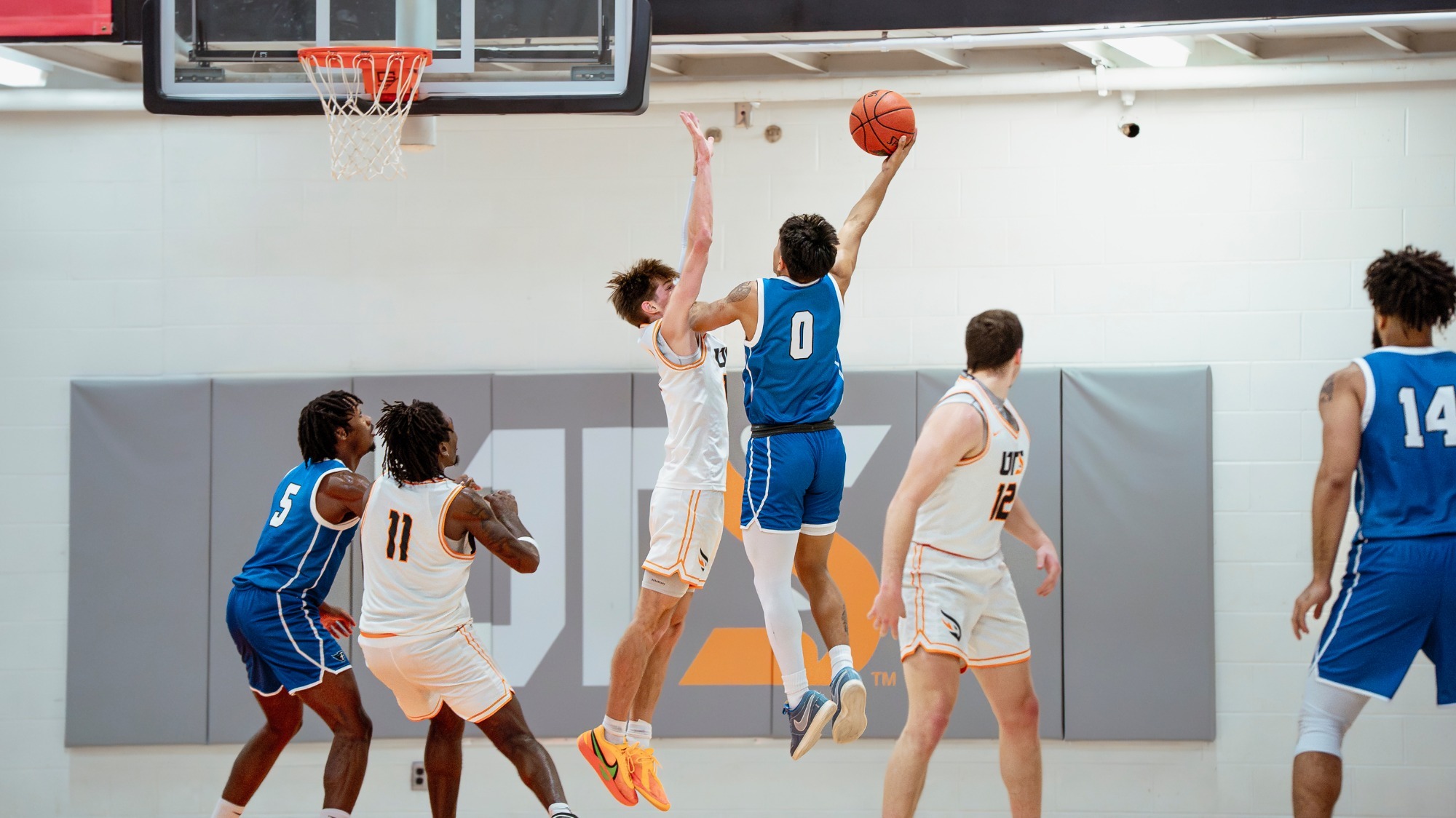 Harris lays up against UTS