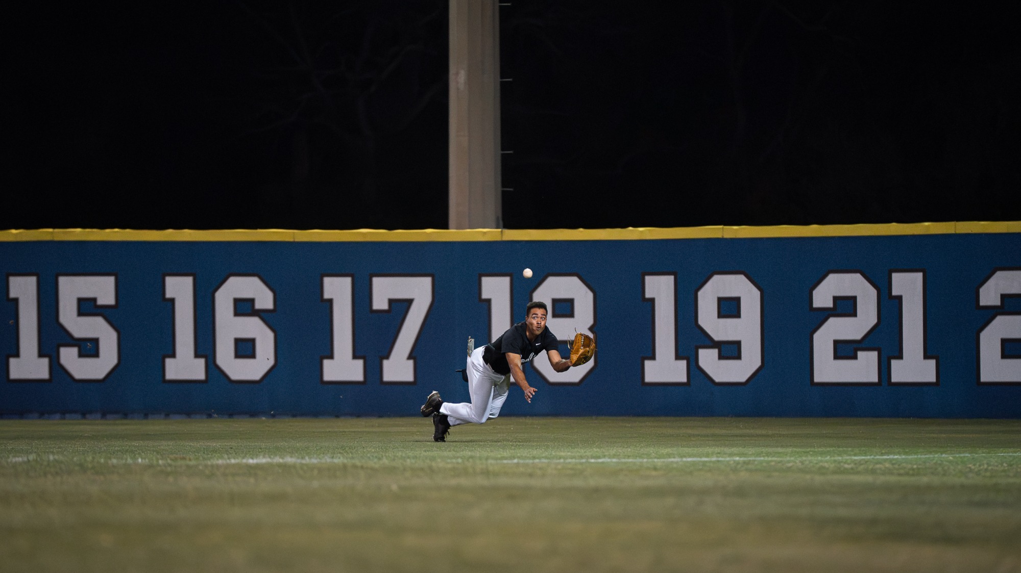 Carter lays out for the catch against BPC