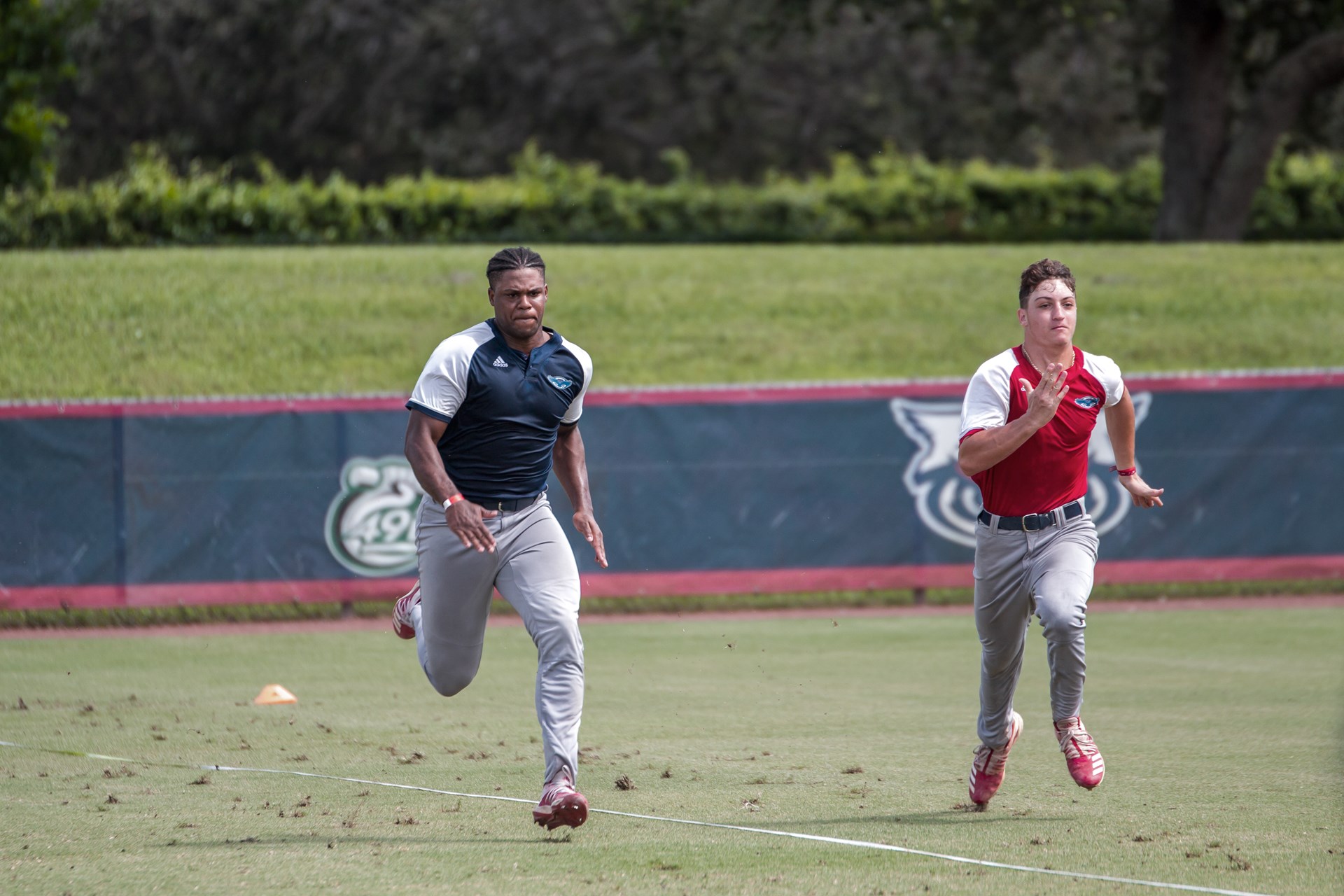 Baseball Holds Annual Scout Day Florida Atlantic University Athletics