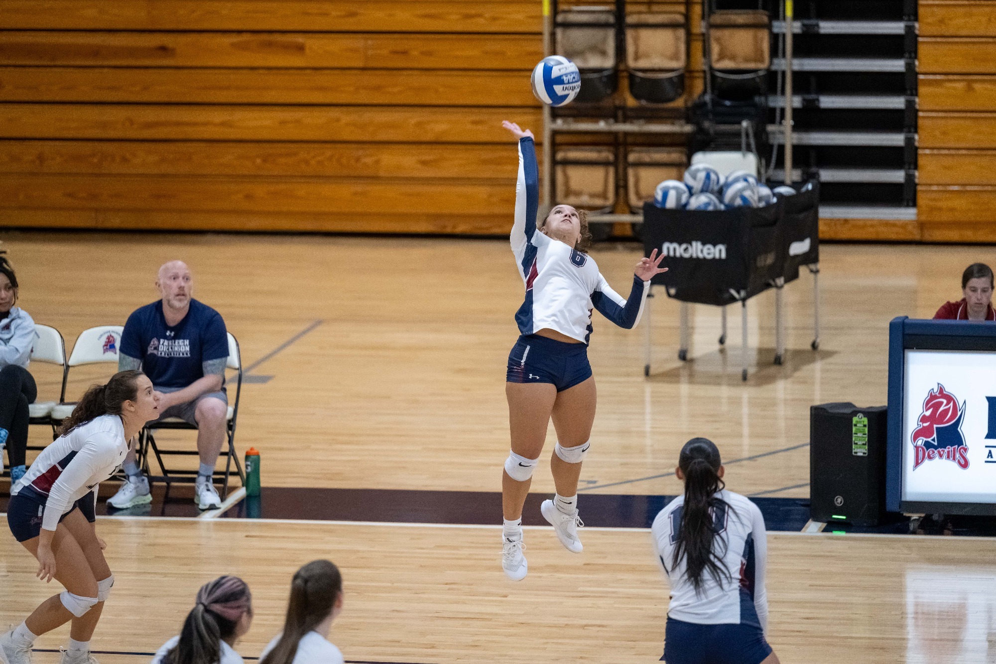 Vanessa Freeman Volleyball Fairleigh Dickinson UniversityFlorham