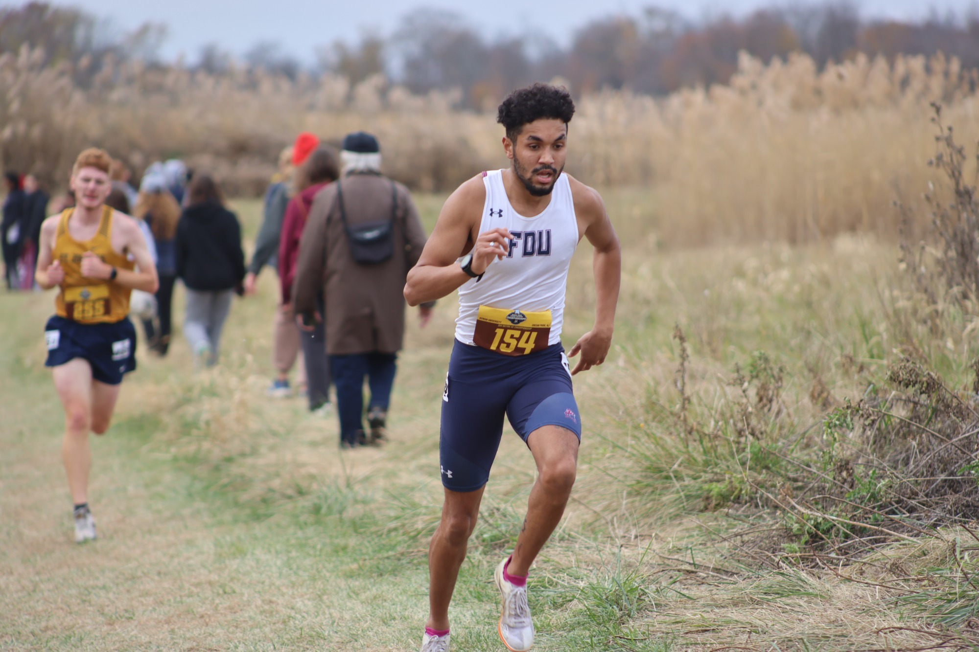 XC Recap 11/15/25