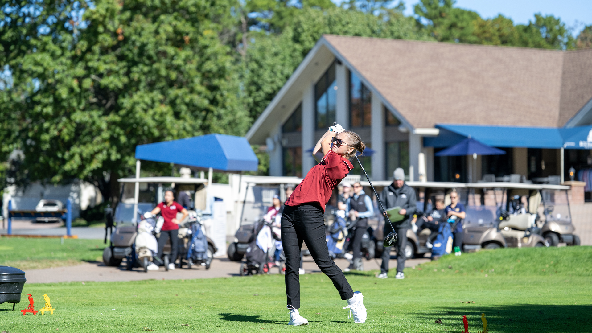 New WGolf Recap