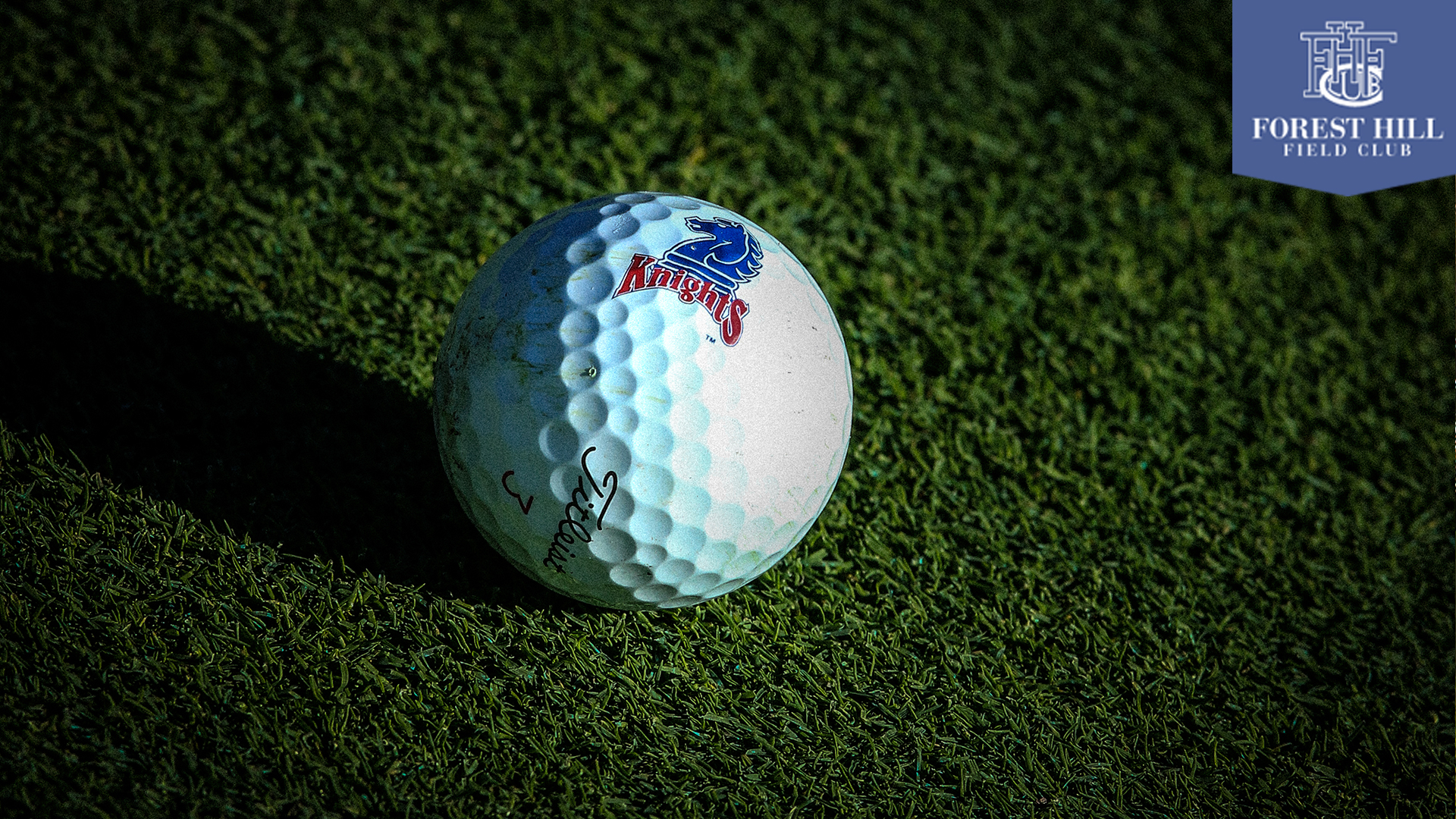 golfballForestHil