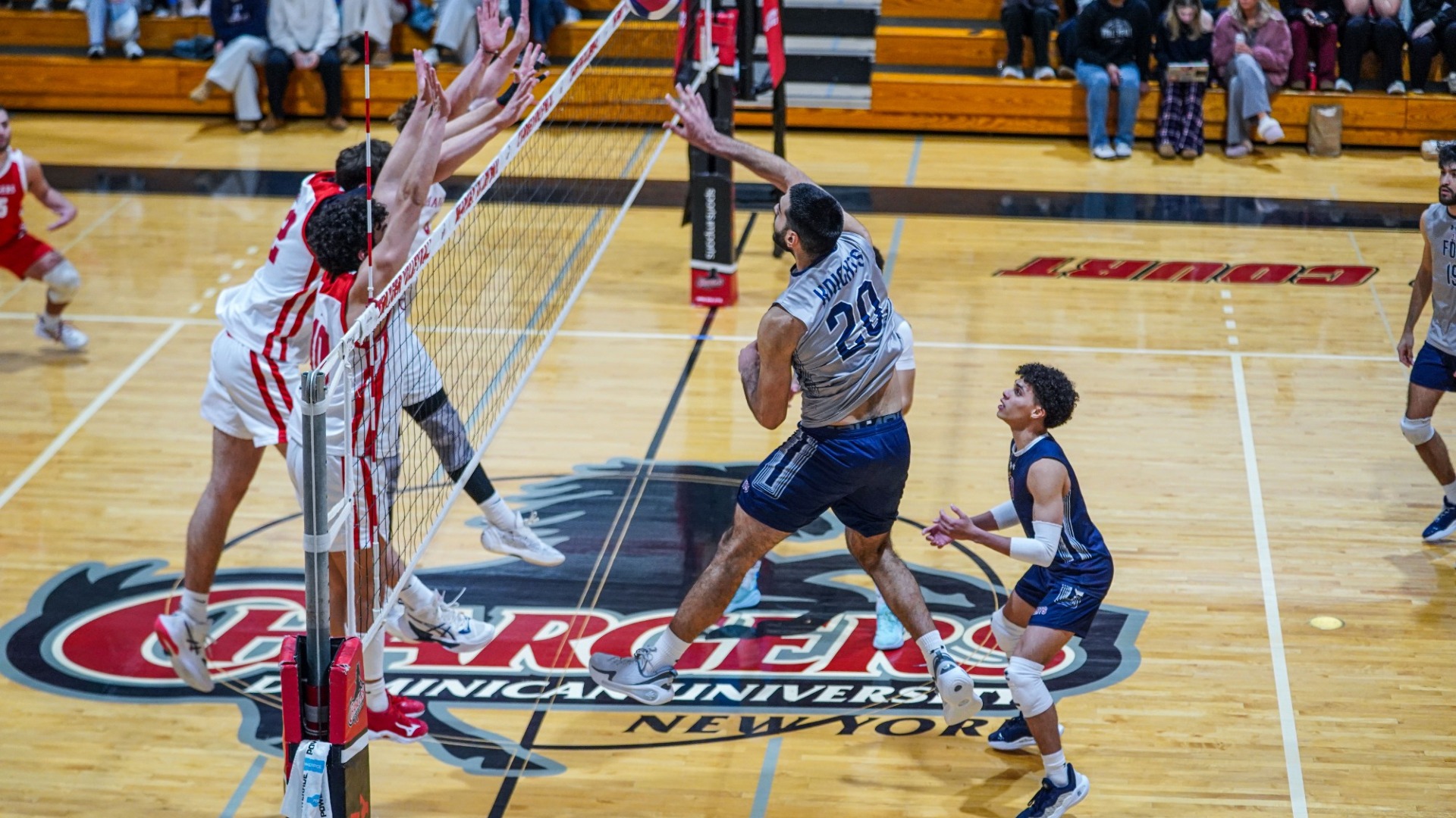 Biro Double Double Night 