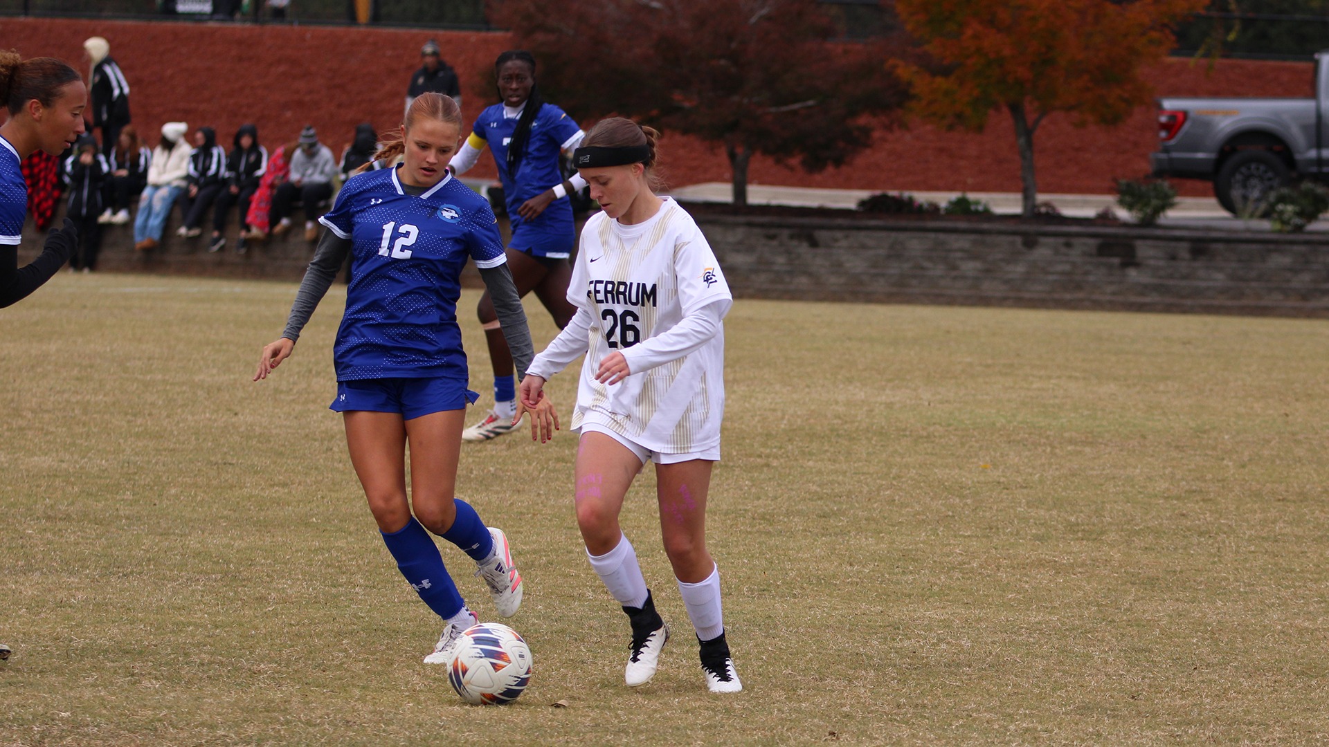 Amber Gillen Action