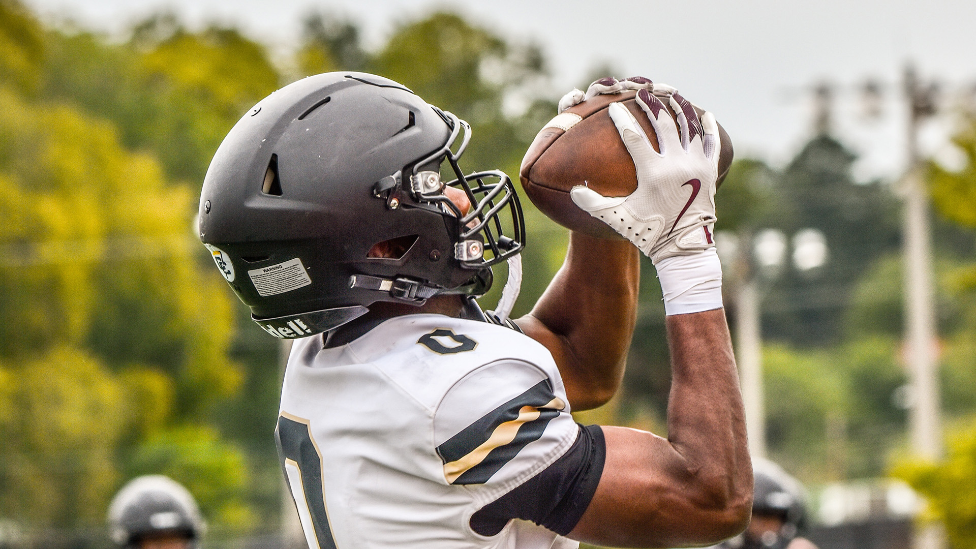 Tay Carter in action for Ferrum on October 9, 2026.
