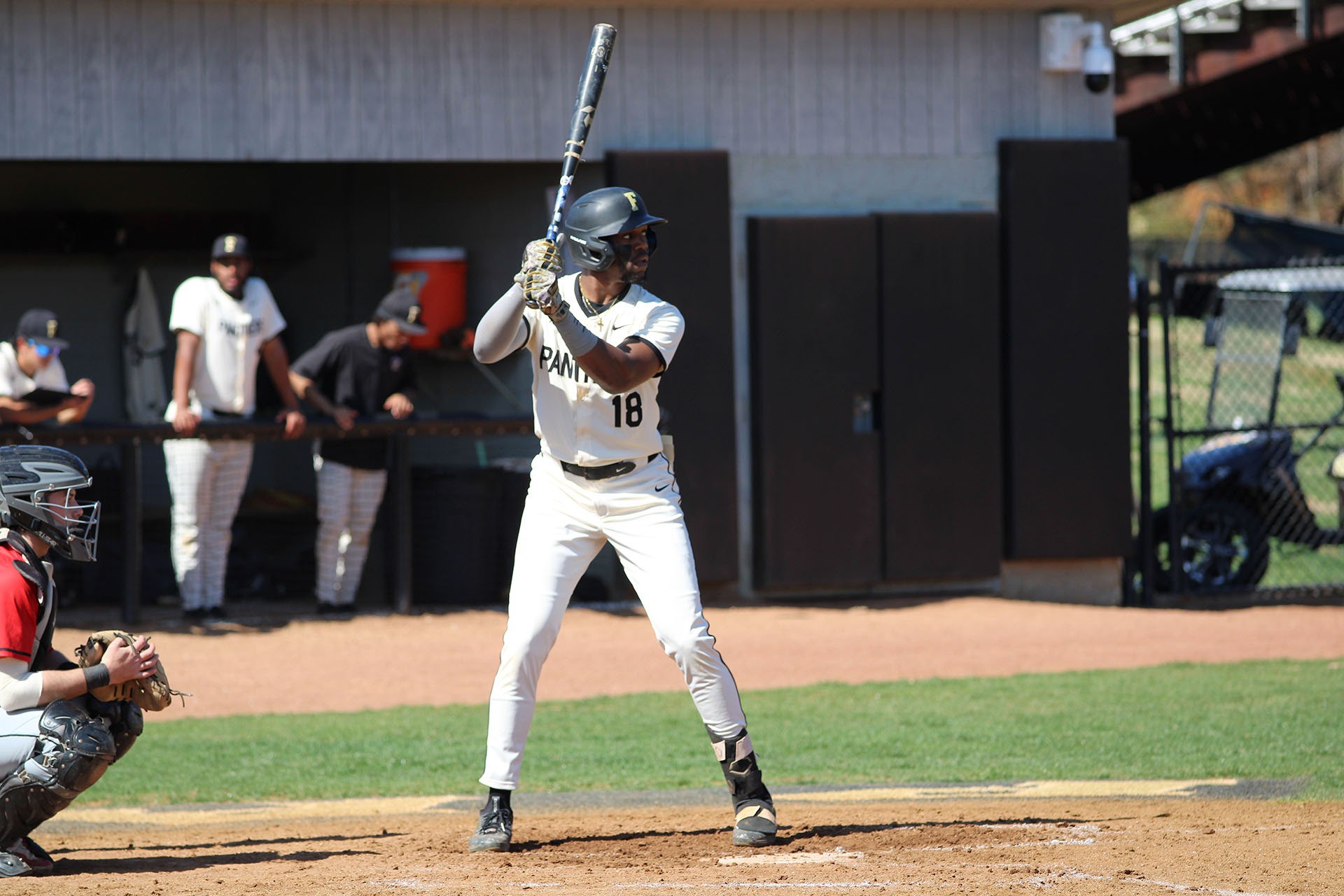 Jayden Singleton Action