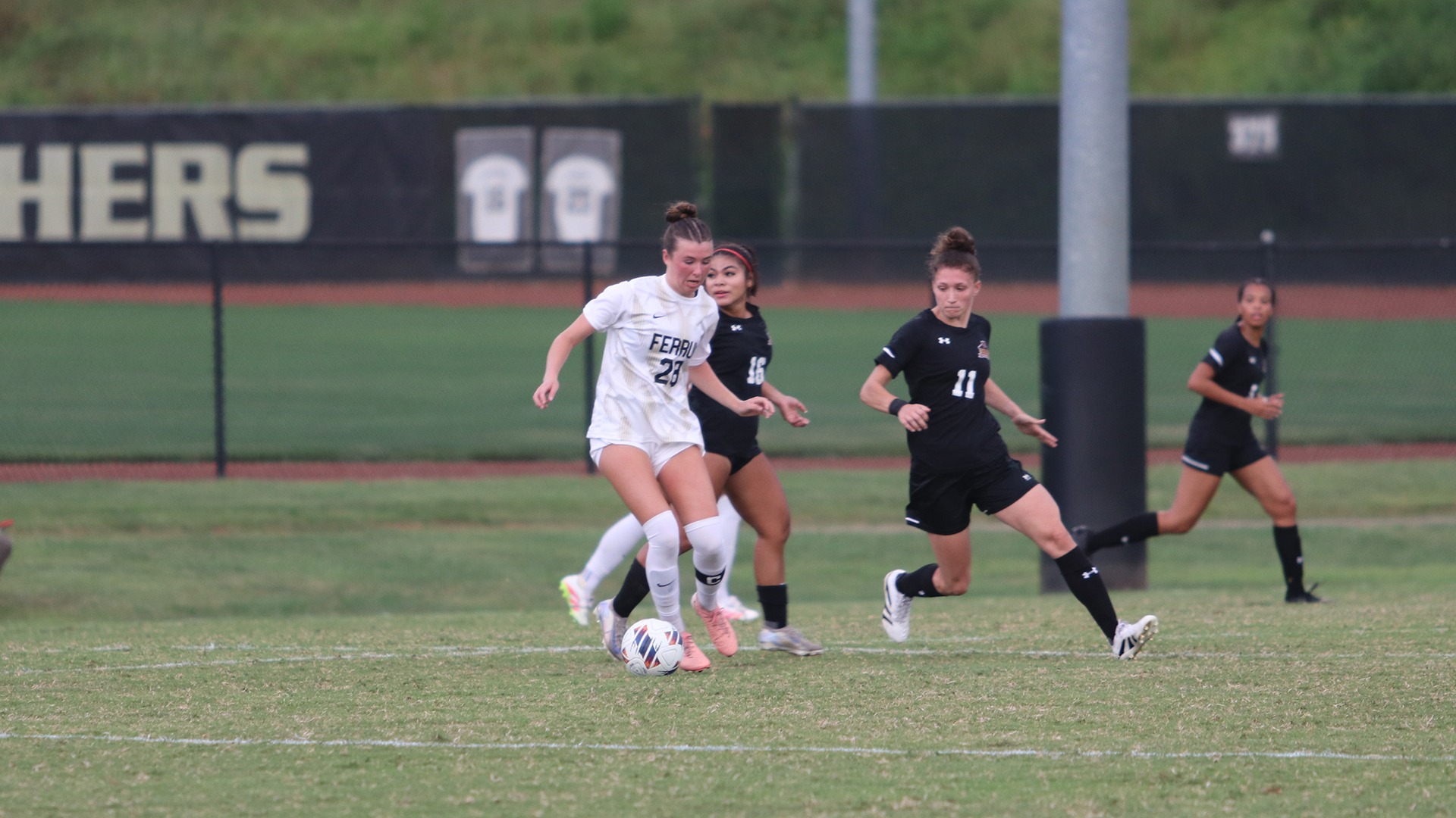 Breanna Herlihy Action