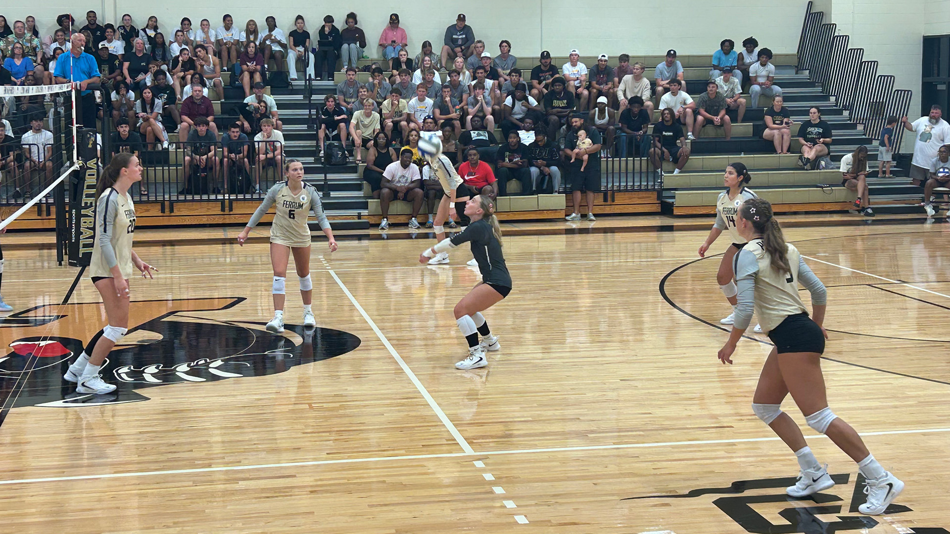 Avery Tucker in action for the Panthers with a dig on September 2, 2026.