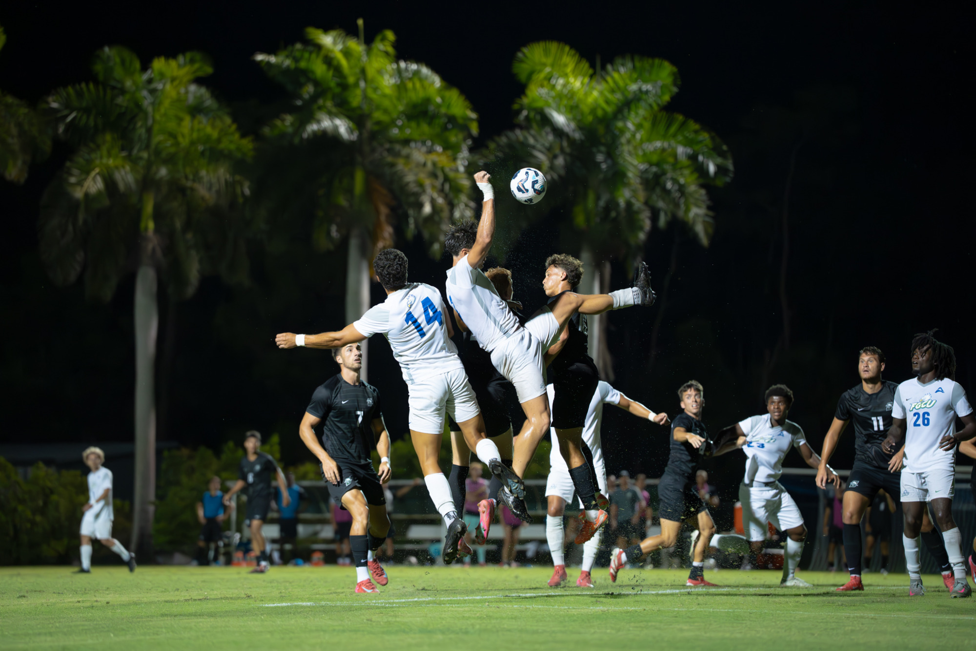 FGCU men's soccer