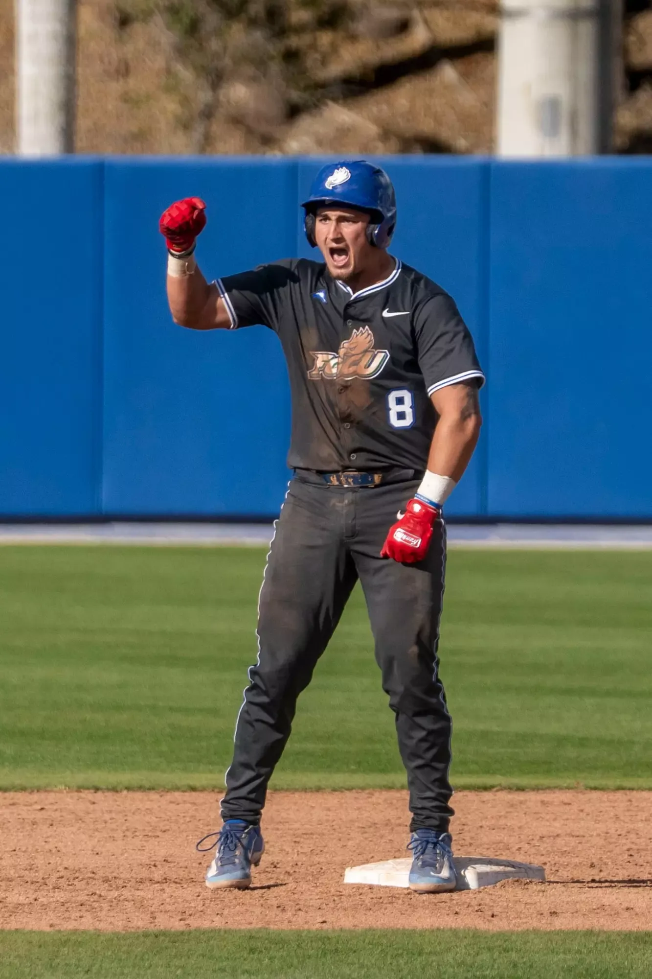 FGCU hosts North Dakota State in the final game of a three-game series at Swanson Stadium.