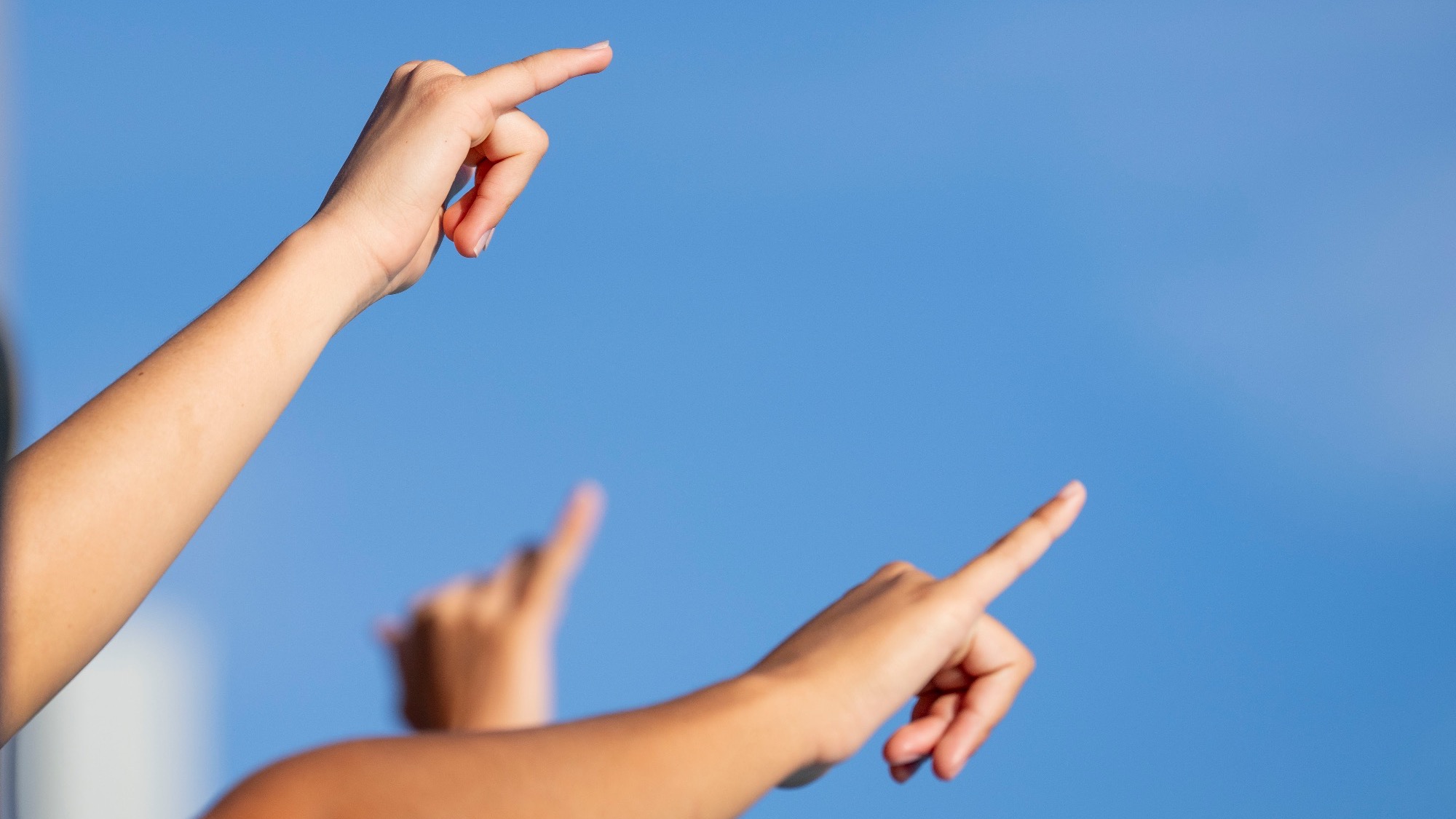 Wings Up