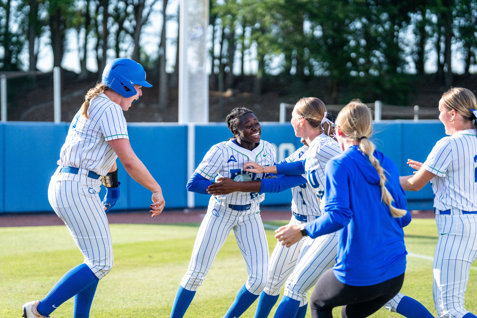 The Eagles celebrate after walking off Queens