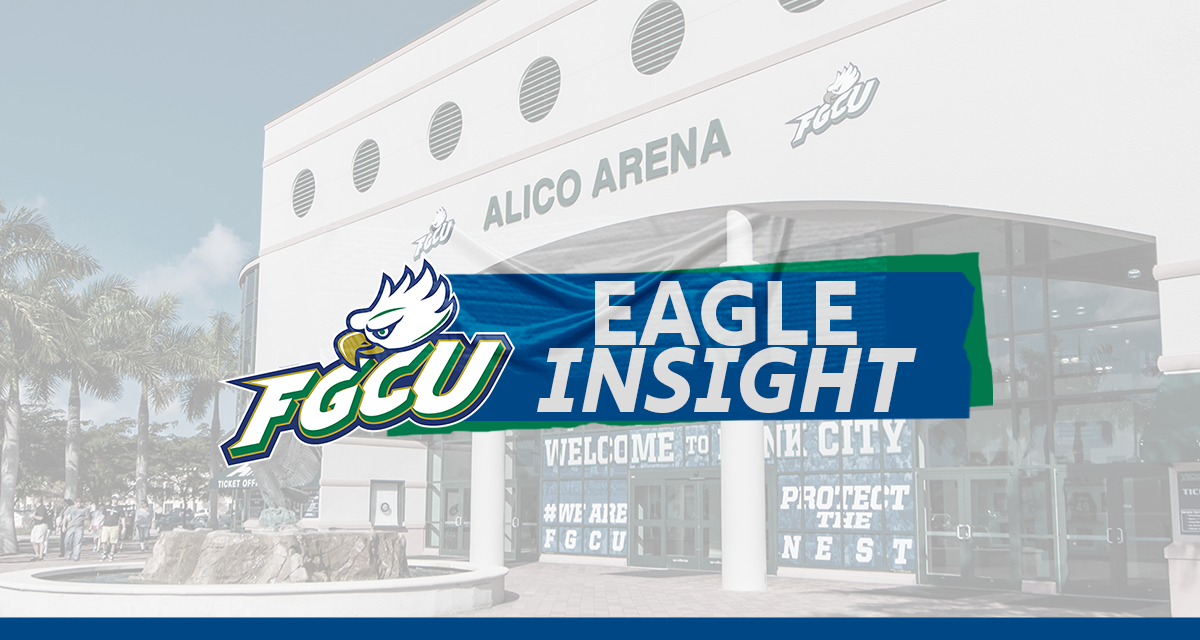 Eagle Insight Hero