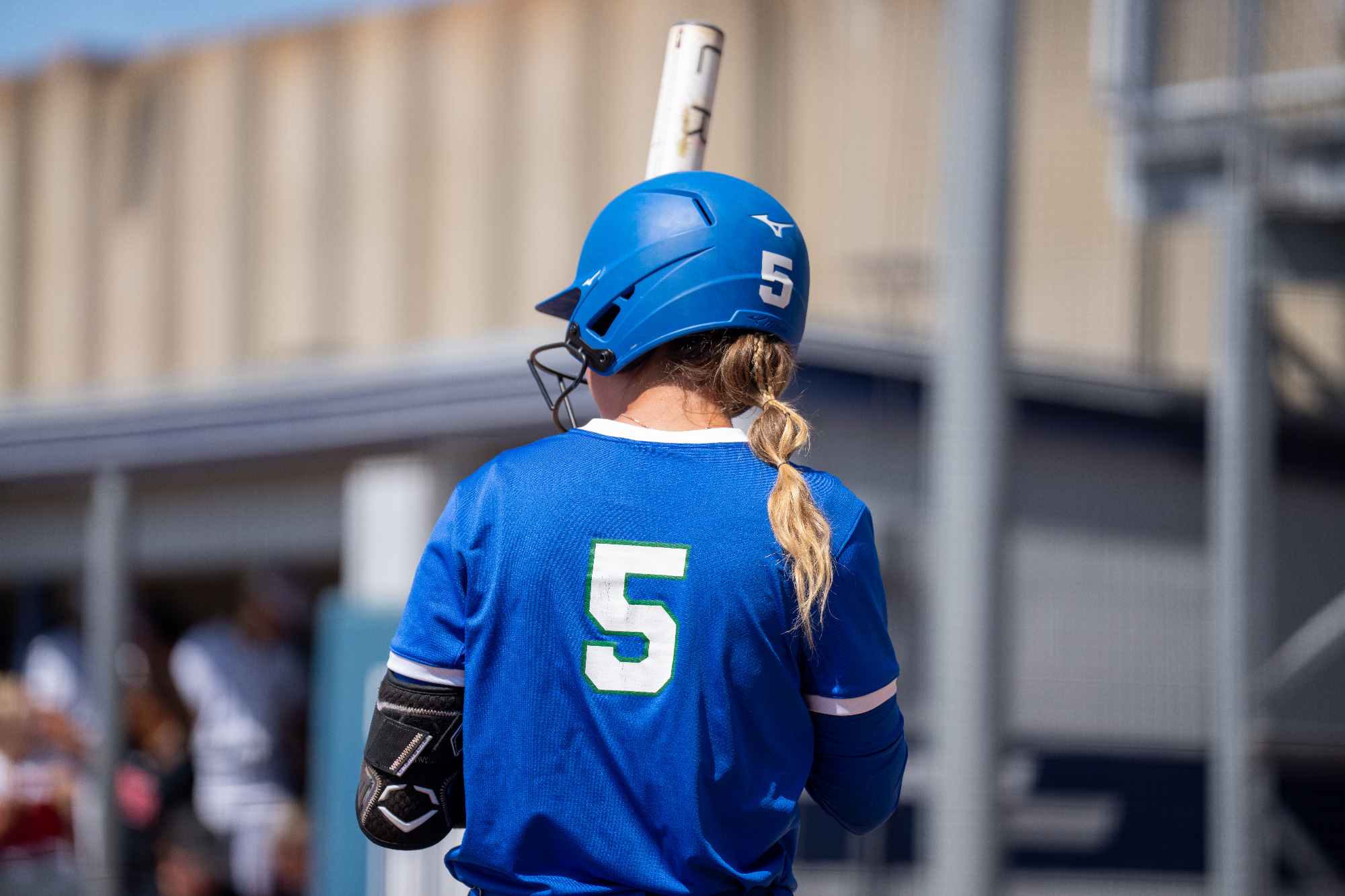 FGCU Softball vs. Austin Peay in the first round of the 2026 ASUN Championship.
