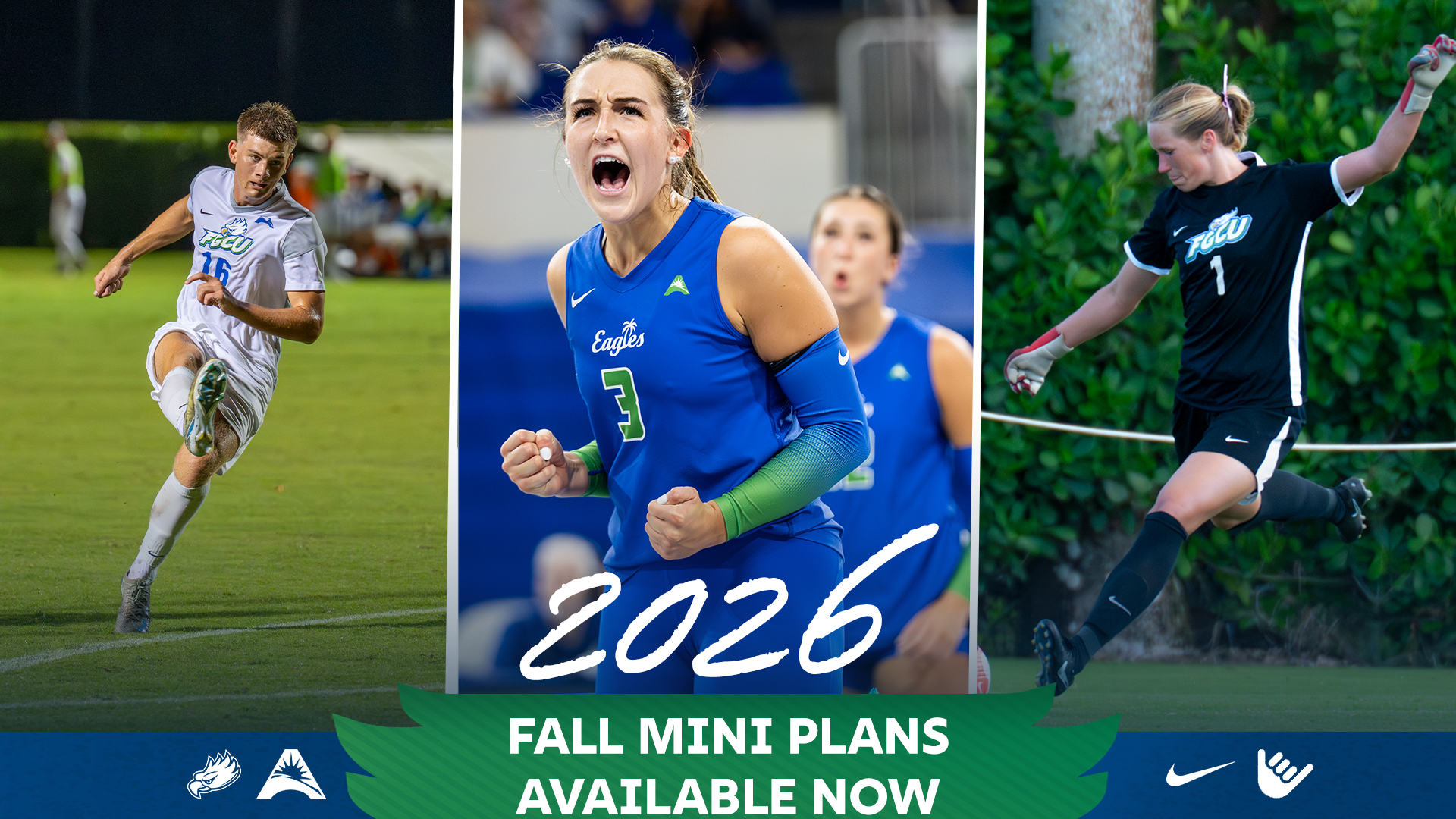 Fall Mini Plans Ticket Graphic