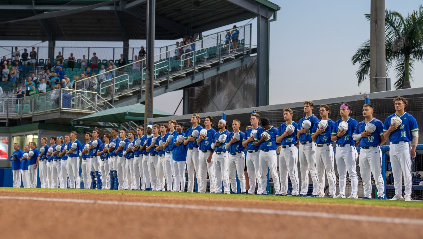 FGCU Baseball