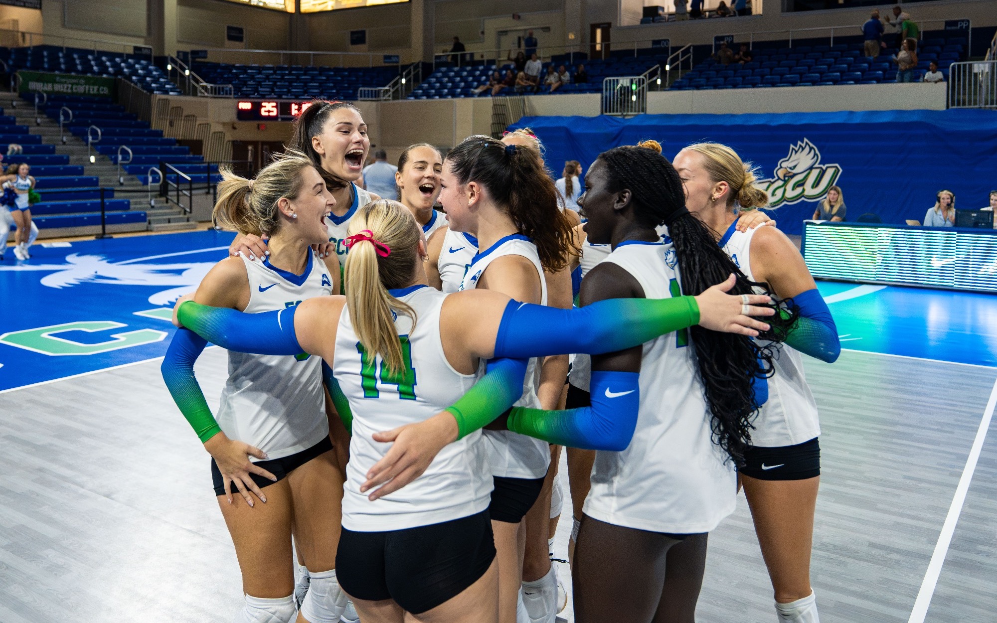 VB Celebration