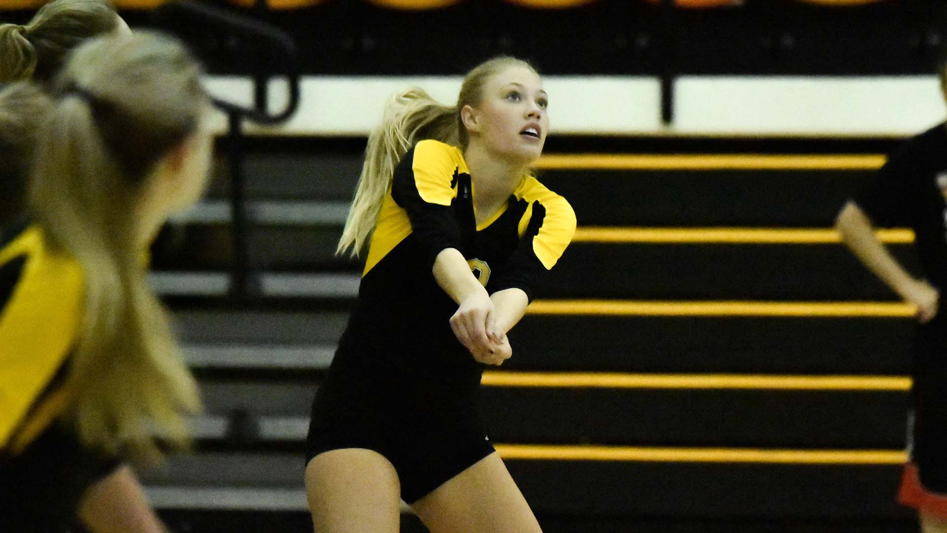 Magan Alexander Volleyball FHSU Athletics
