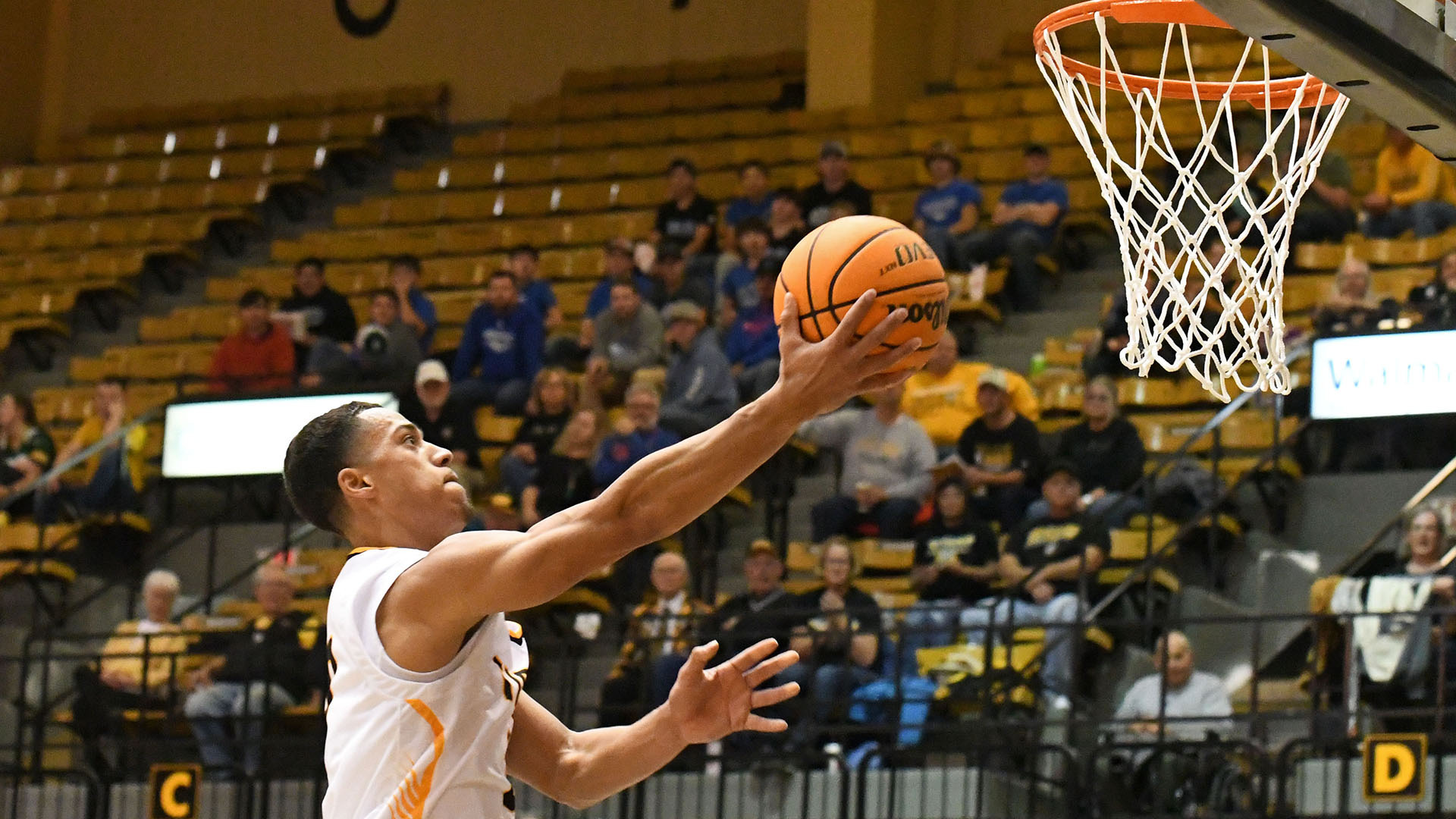 Elijah Nnanabu - Men's Basketball - FHSU Athletics
