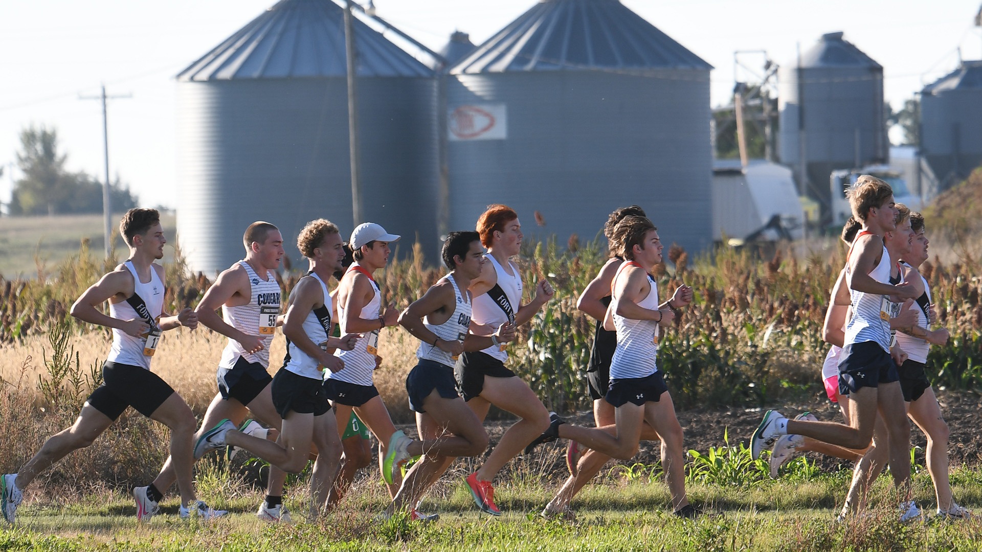 Men's Cross Country 2025 Tiger Open Group