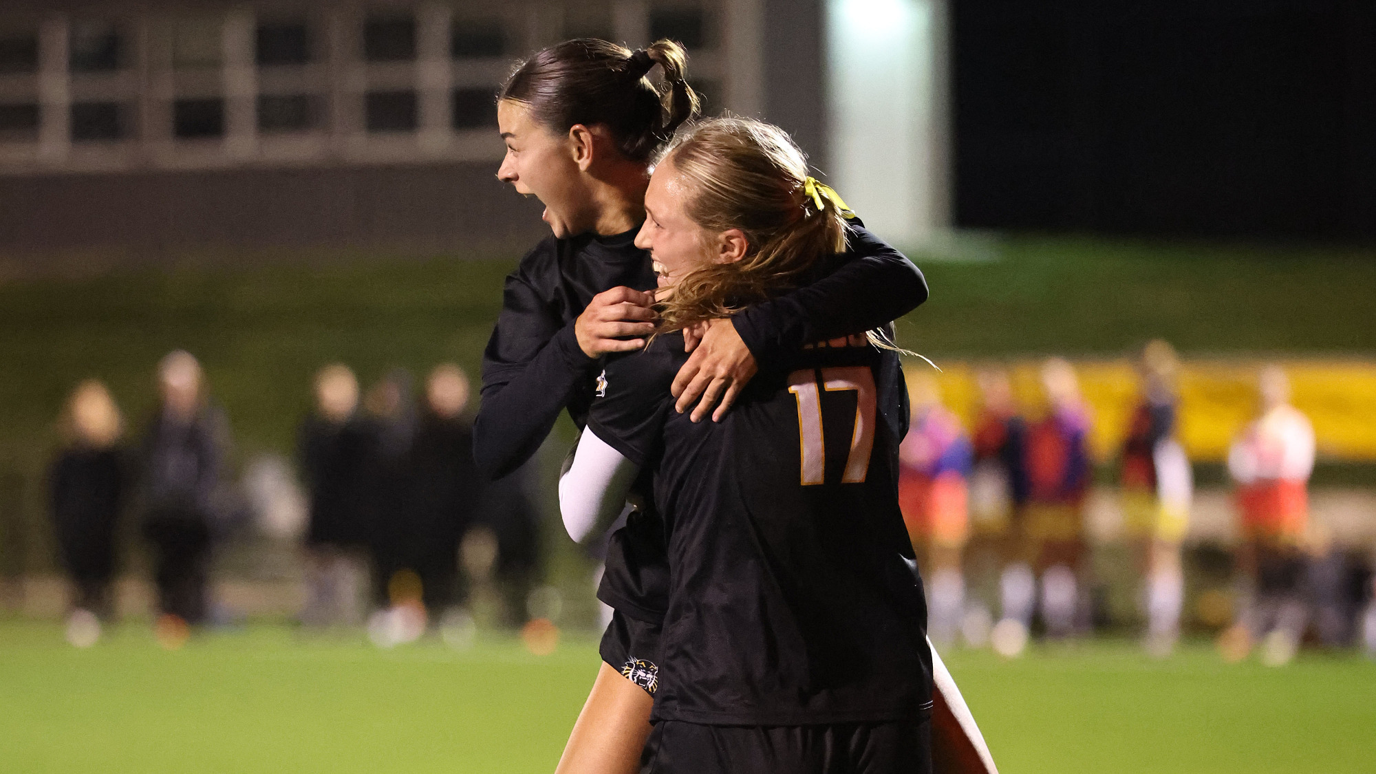 Sydney Cotter action