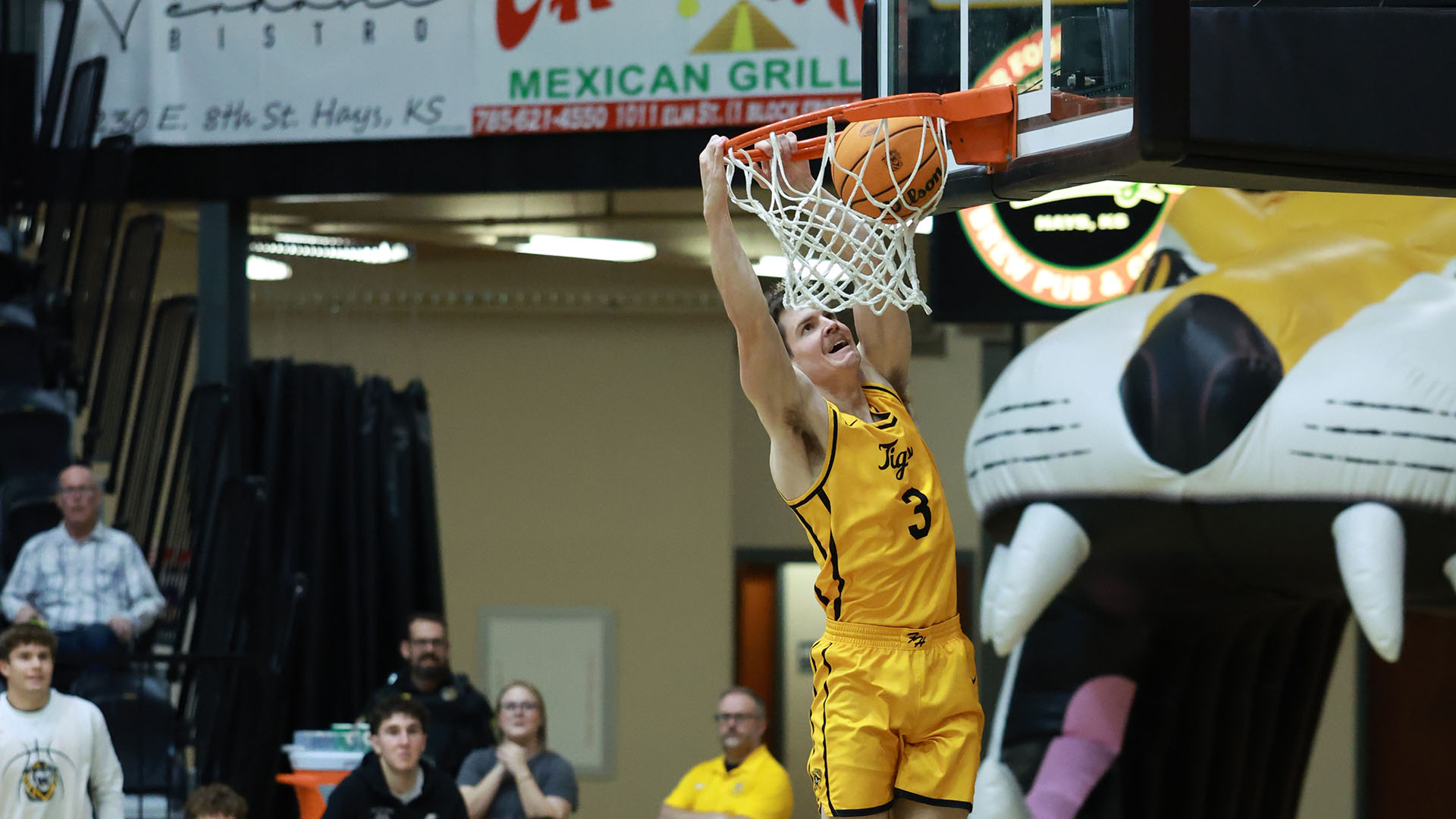 Lucas Hammeke action